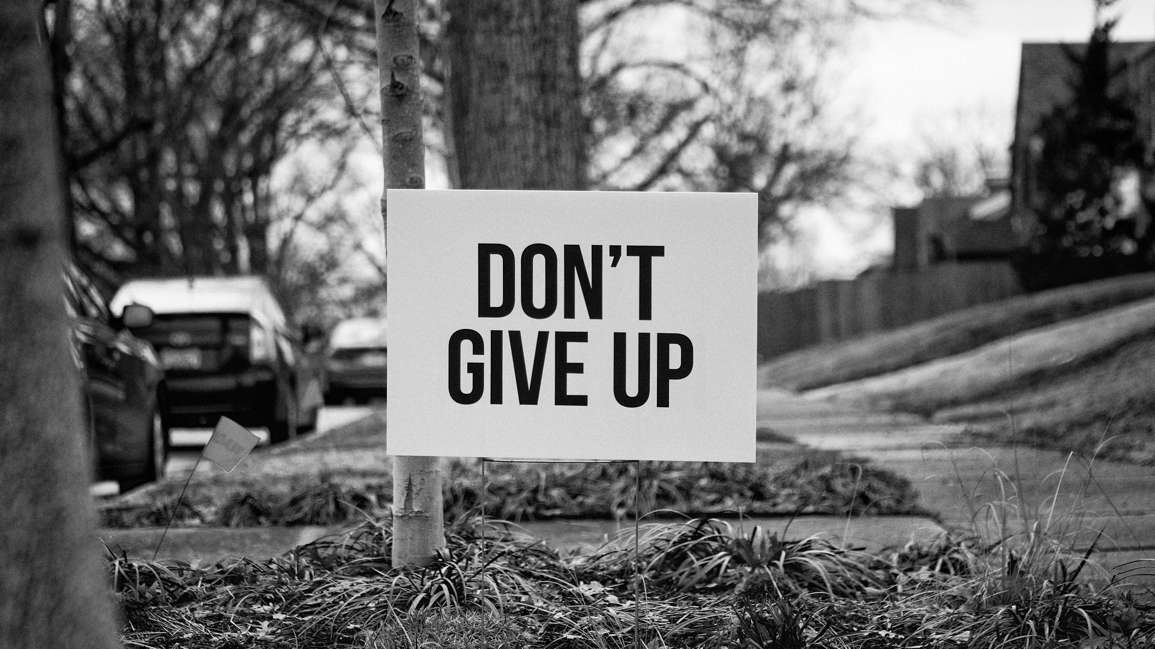勵志語錄 桌布 壁紙 — 一個黑白標誌寫著「DON'T GIVE UP」，豎立在草地庭院中一棵樹旁，背景是住宅街道上停泊的汽車。