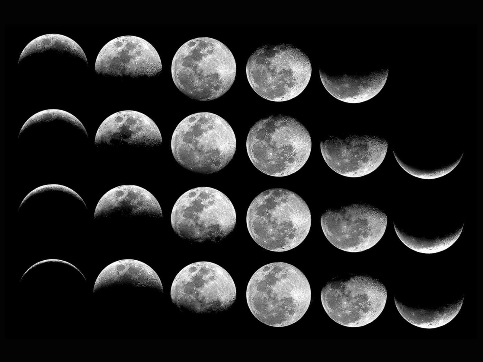 Moon Phases 桌布 壁紙 — 一個黑白網格，包含從新月到滿月的十六個月相，背景為黑暗虛空。