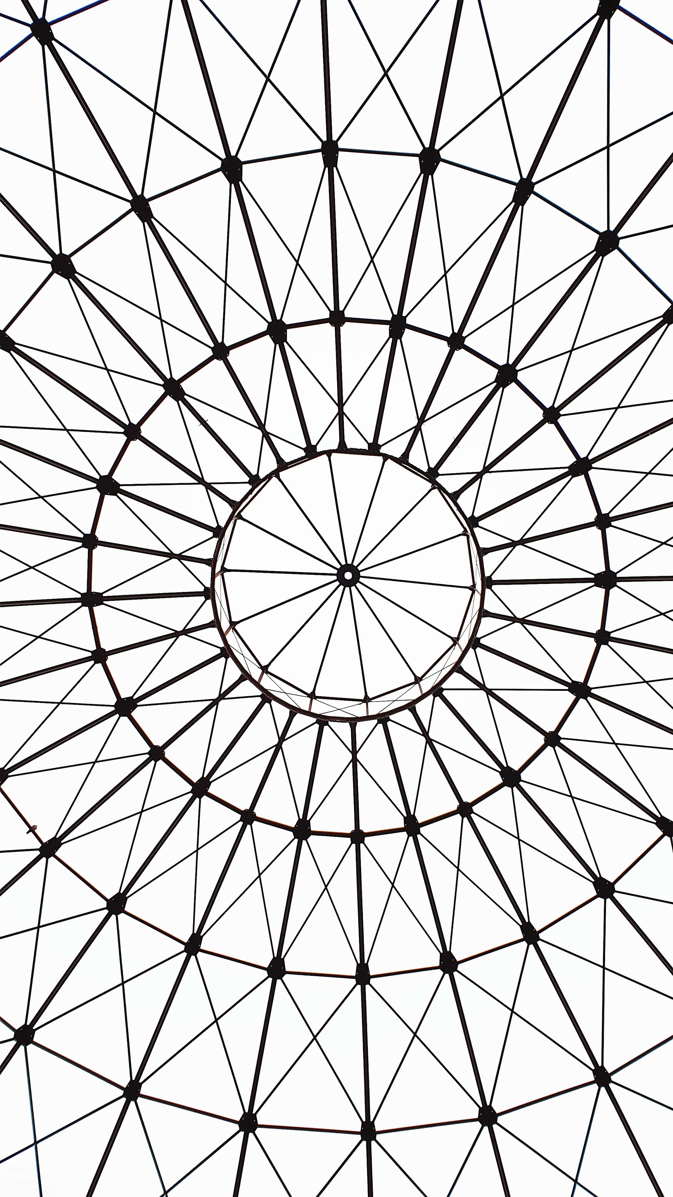 Black And White Drawings 桌布 壁紙 — 一個黑色幾何格子圓頂，具有徑向對稱性和圓形節點，背景為純白色。