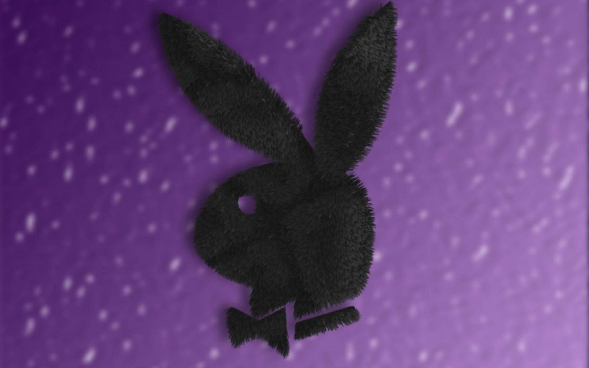 黑色毛茸茸兔子標誌在紫色斑點背景上。 — Playboy GIF 壁紙