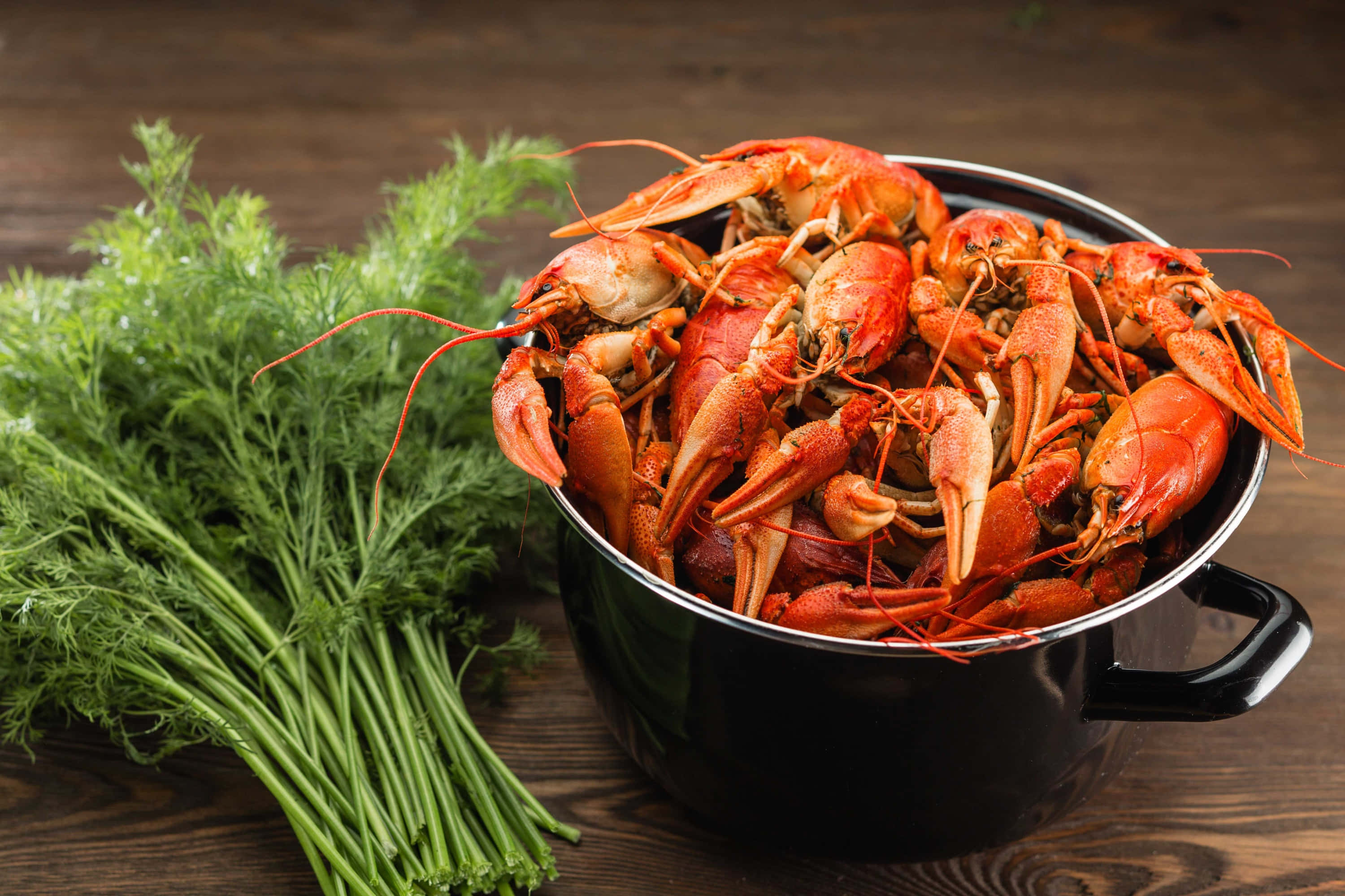 Seafood 桌布 壁紙 — 一個黑色鍋溢出鮮紅色的煮熟小龍蝦，旁邊是一束新鮮的綠色蒔蘿，放在質樸的木桌上。