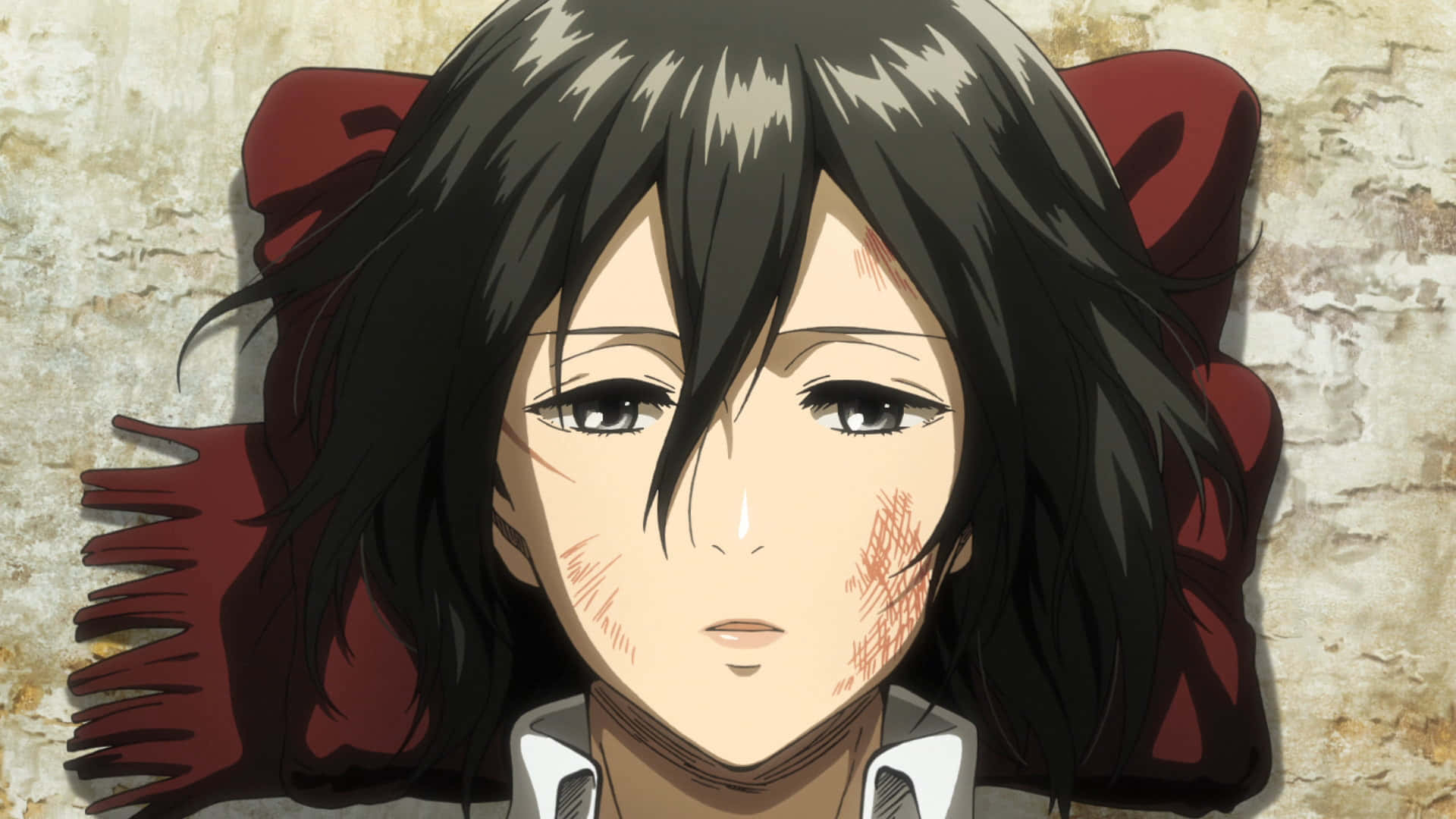 Attack On Titan Season 2 桌布 壁紙 — 一個黑髮紅圍巾的動漫少女特寫，靠著風化的牆壁，臉上帶有傷痕。