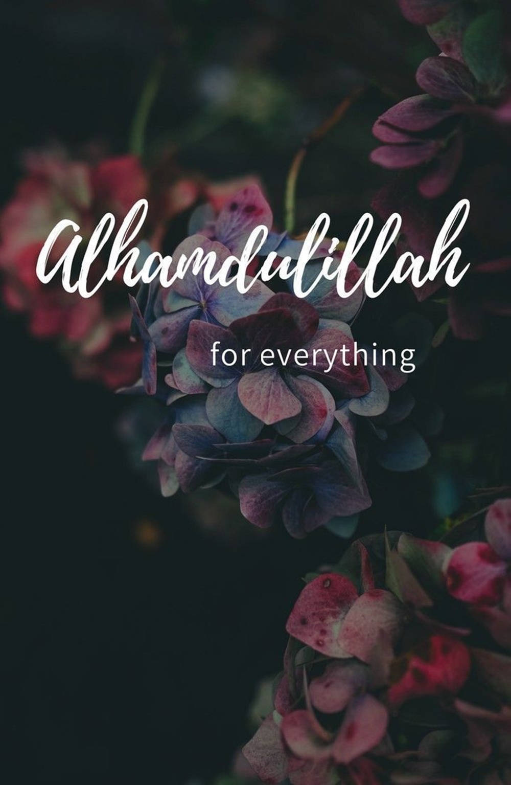 繡球花帶有文字疊加，寫着 Alhamdulillah for everything