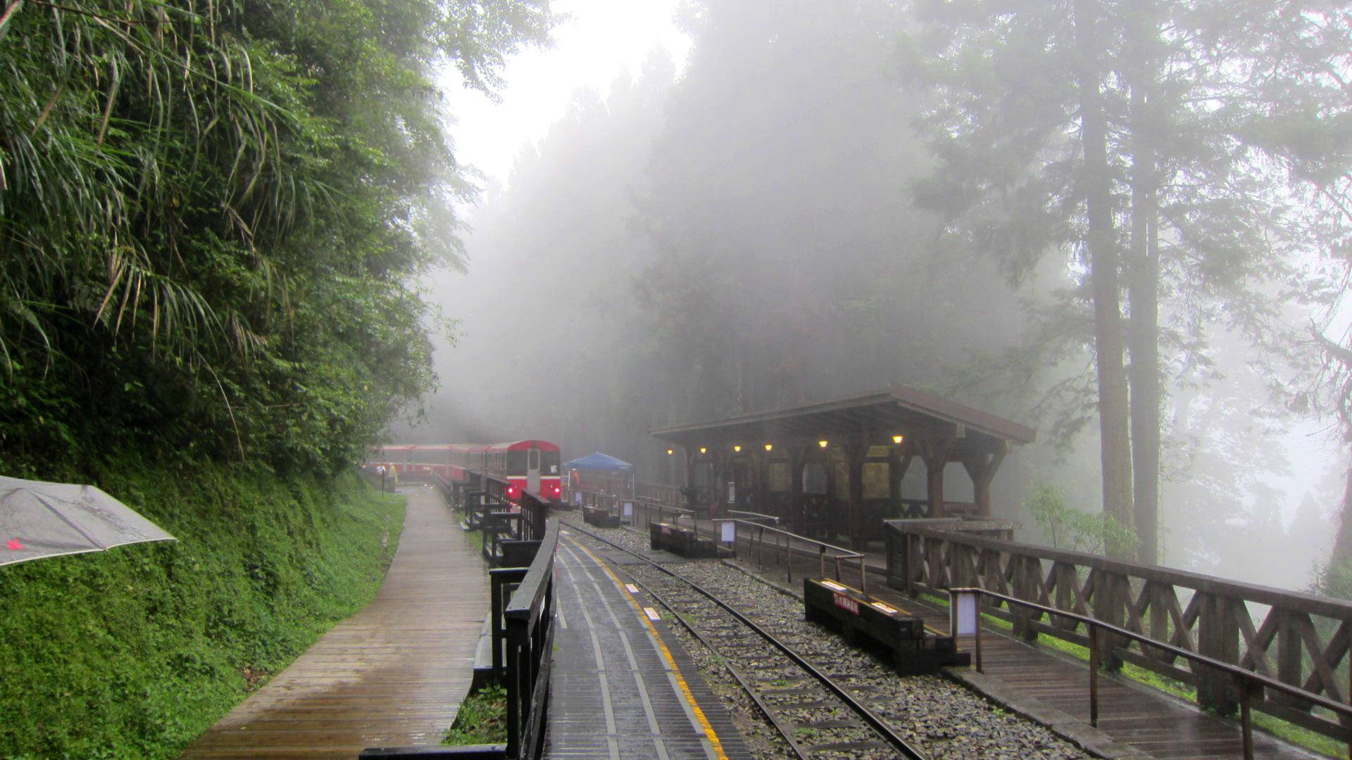 Train 桌布 壁紙 — 一列紅色火車從濃霧中駛出，來到一個位於茂密綠色森林中的木造車站，當天正下著雨。