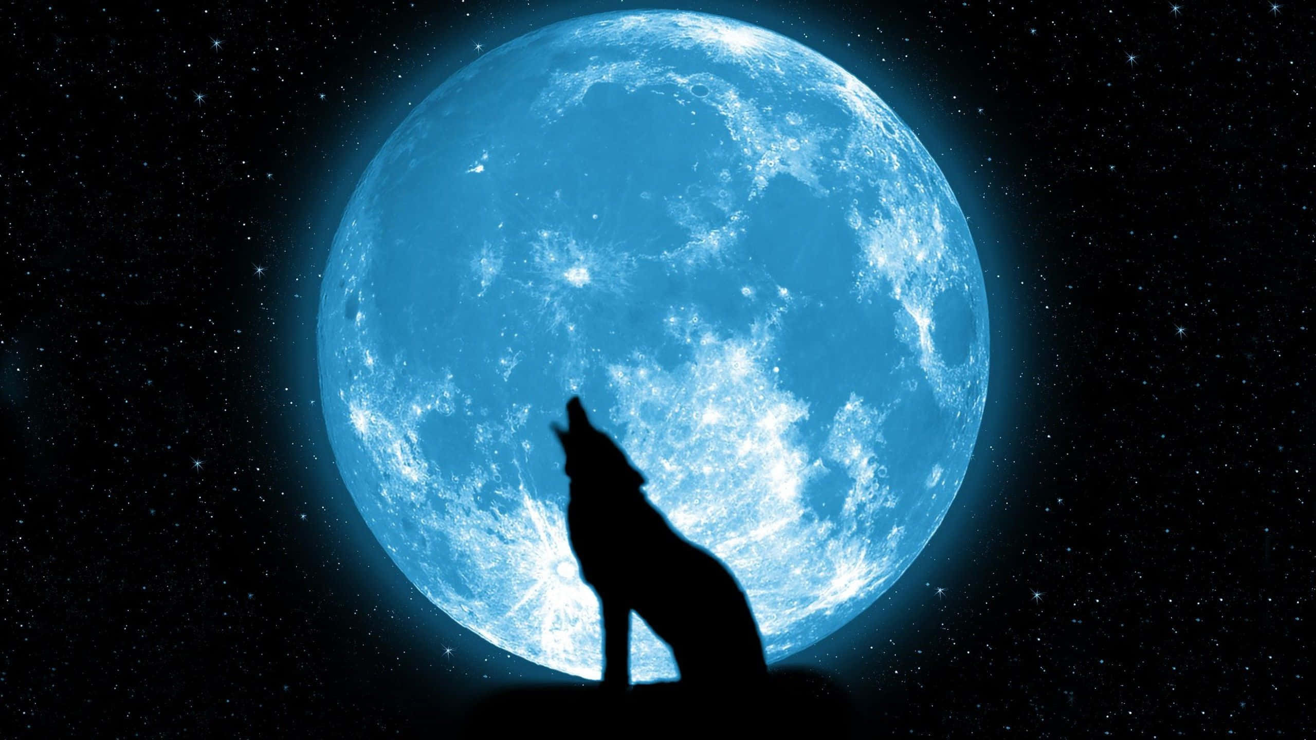Howling Wolf 桌布 壁紙 — 一匹孤狼的剪影在滿天星斗的夜空下，對著一輪巨大、發光的藍月嚎叫。