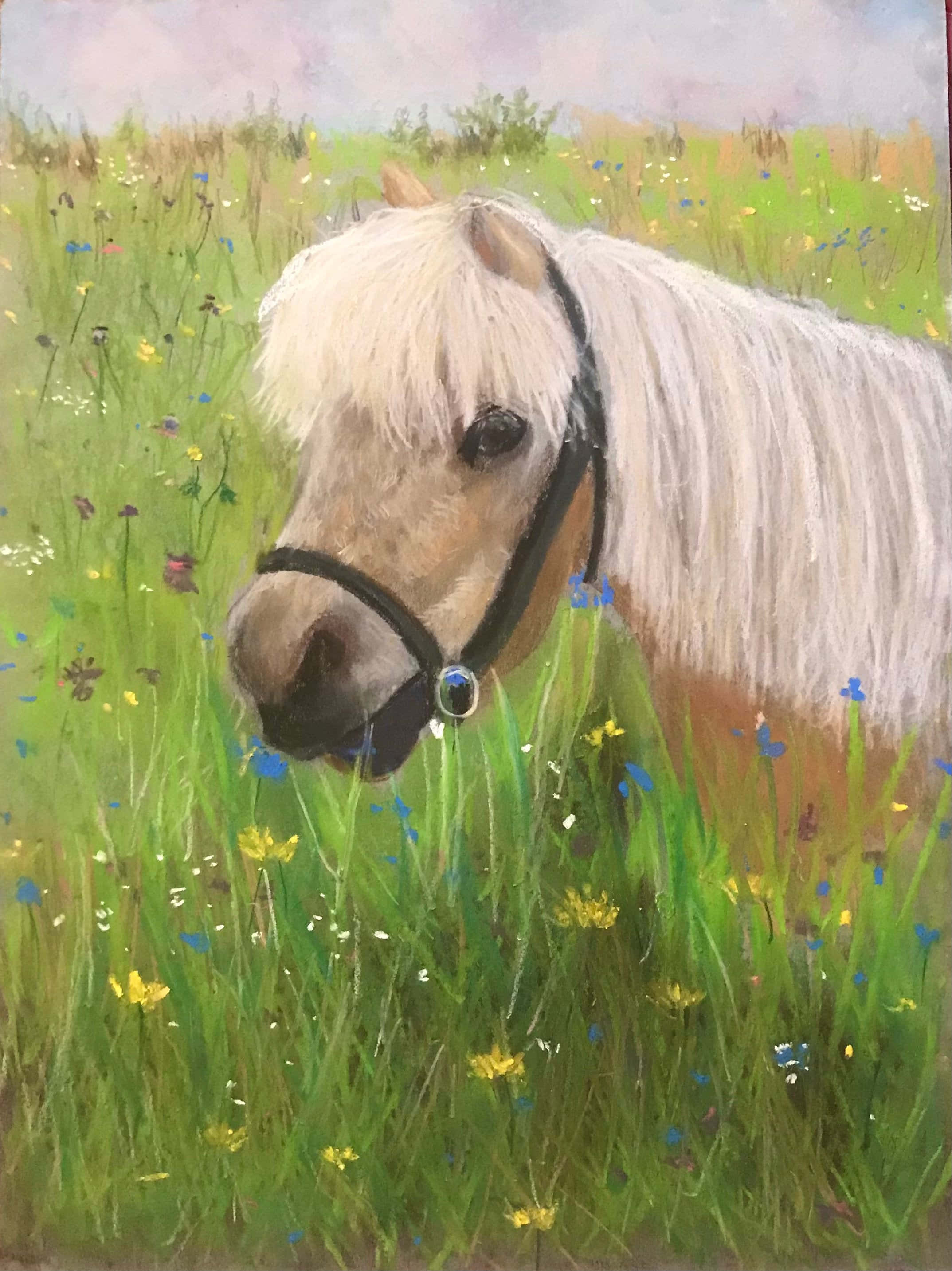 pony 桌布 壁紙 — 一匹戴著黑色韁繩的白色小馬，在柔和的天空下，於充滿黃色和藍色野花的生機勃勃草地上平靜地吃草。