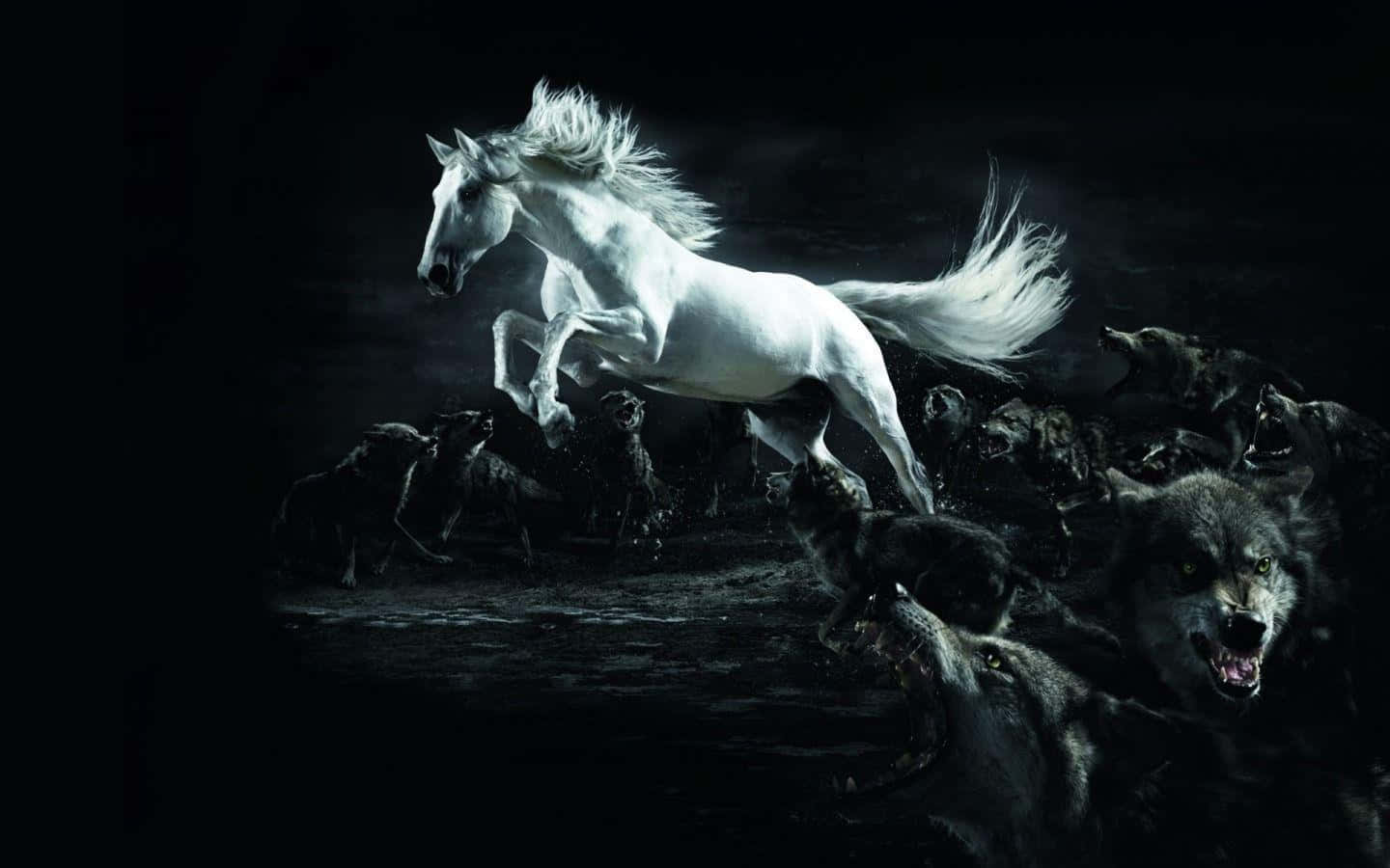 White Horse 桌布 壁紙 — 一匹雄偉的白馬在黑暗而戲劇性的場景中躍過一群咆哮的狼。