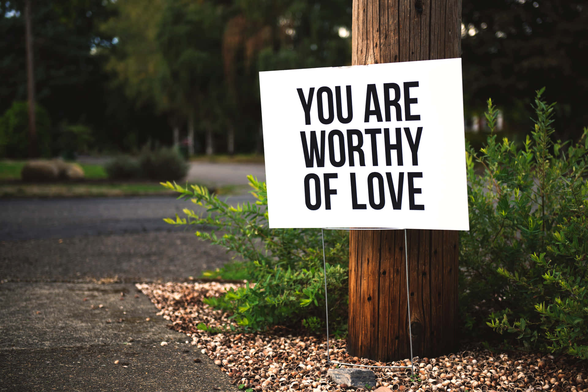 一個寫著「You are worthy of love」的標牌，在花園中木柱旁邊。