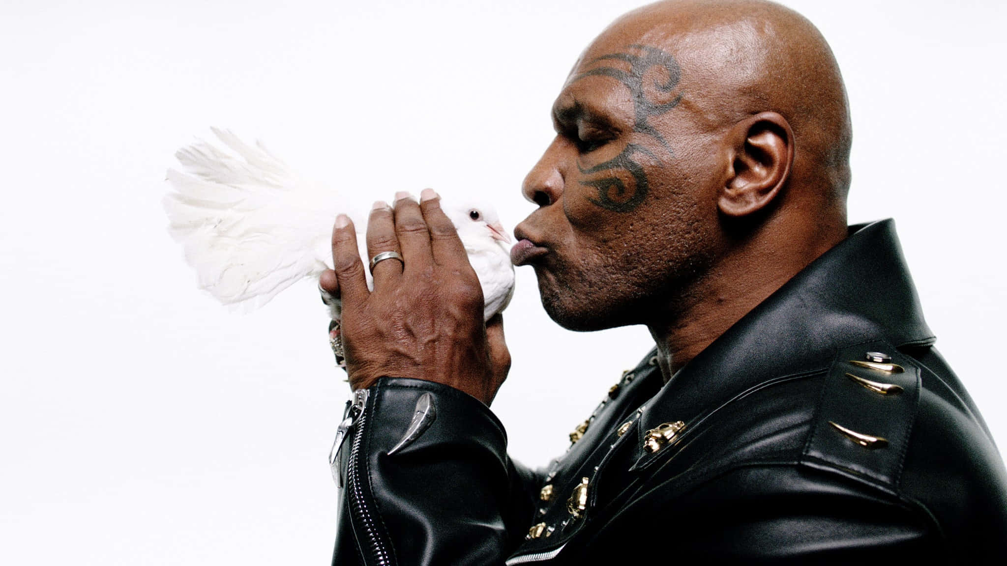 mike tyson 桌布 壁紙 — 一名光頭男子身穿黑色皮褸，雙手捧著一隻白鴿，在純白背景下溫柔地親吻牠。
