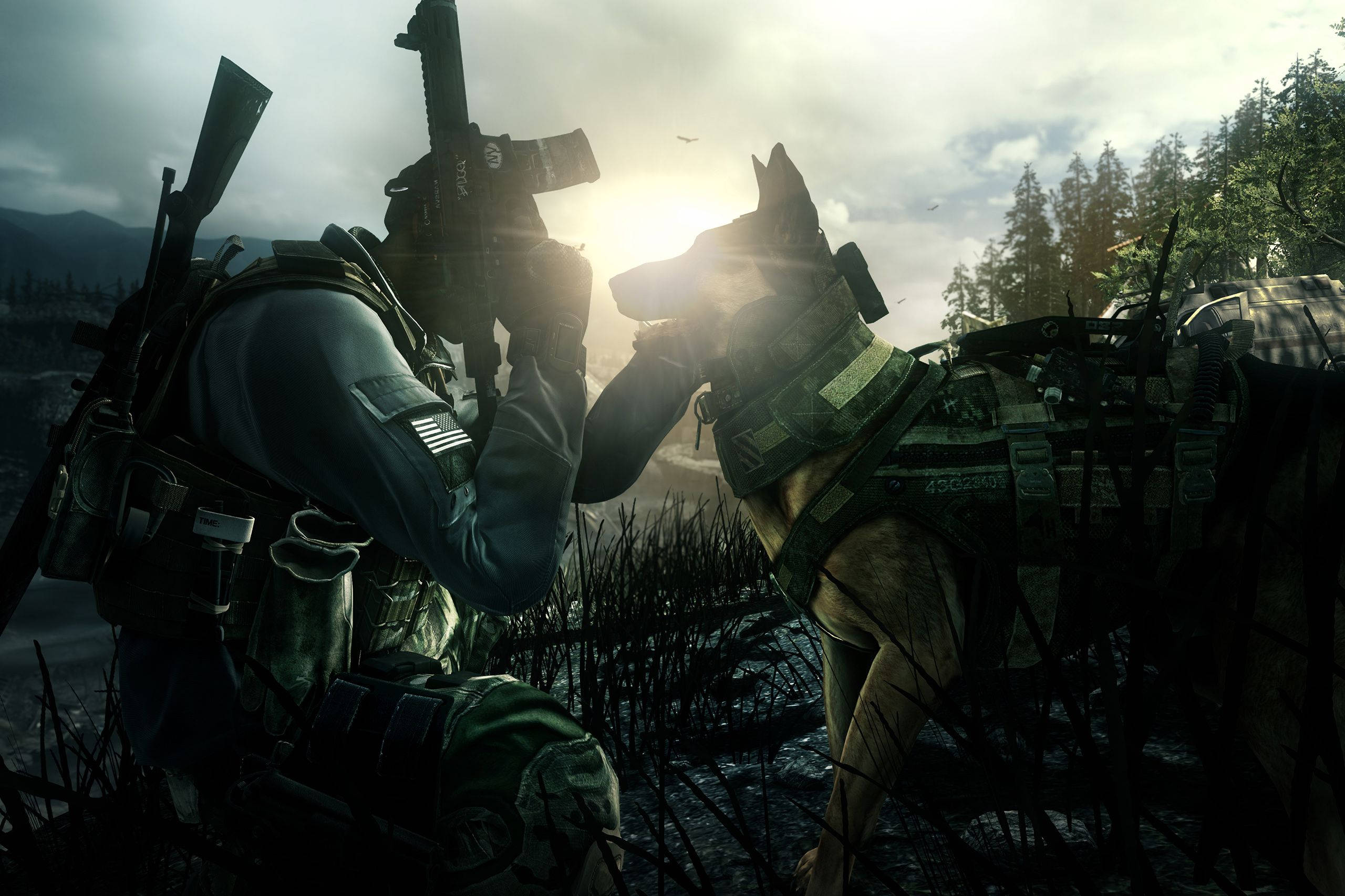 Call 桌布 壁紙 — 一名士兵和他的軍犬穿著戰術裝備，在陽光照耀的沼澤地裡一起跪下，背景有樹木和山脈。