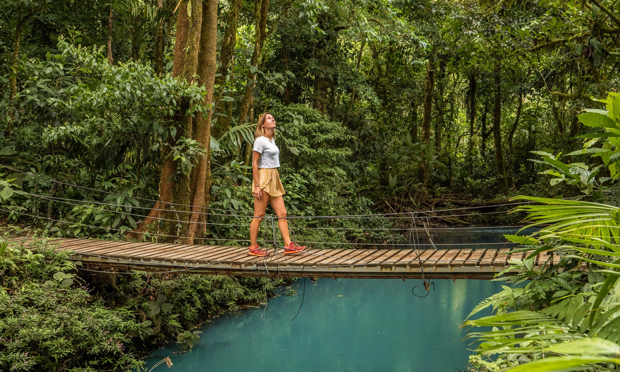 Costa Rica 桌布 壁紙 — 一名女子站在木製吊橋上，下方是碧綠色的河流，周圍是茂密的綠色叢林。
