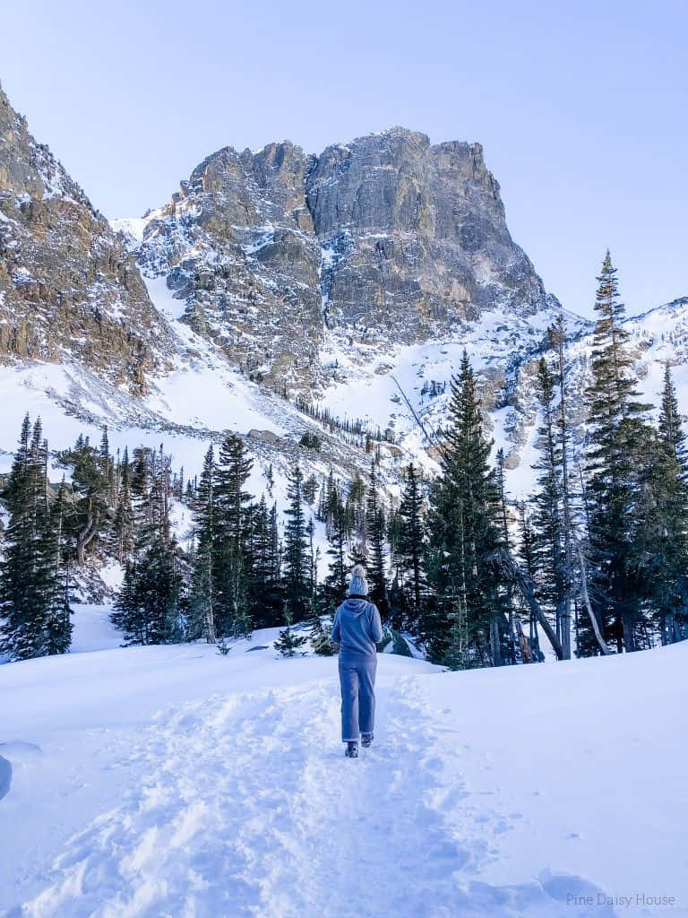 Winter Hiking 桌布 壁紙 — 一名孤獨的徒步者身穿藍色裝備，在清澈淡藍的天空下，穿過深雪，走向被常青樹環繞的積雪山峰。