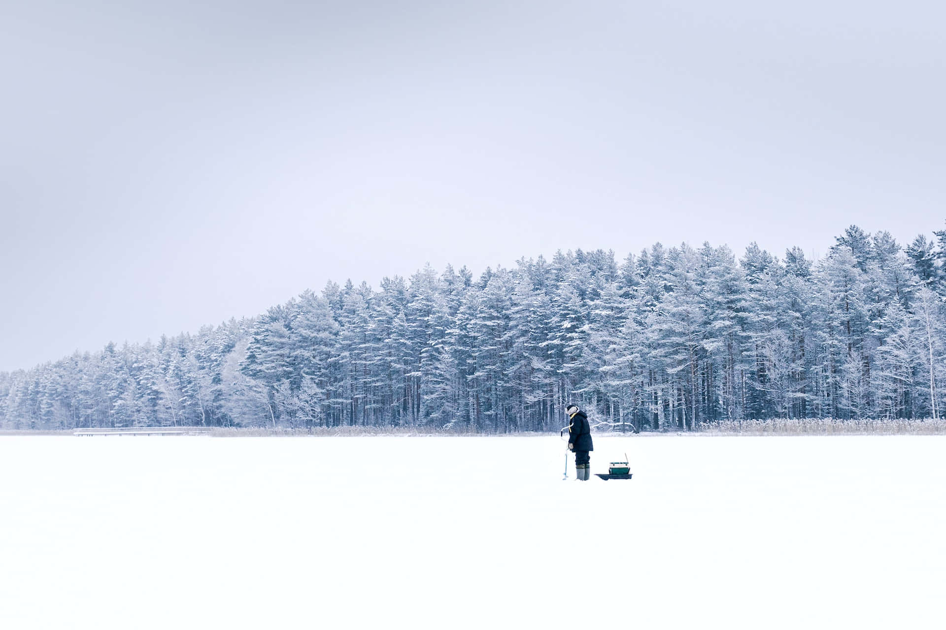 Ice Fishing 桌布 壁紙 — 一名孤獨的漁夫站在廣闊的冰凍湖面上，周圍是白雪覆蓋的松樹，天空是蒼白的冬日天空。