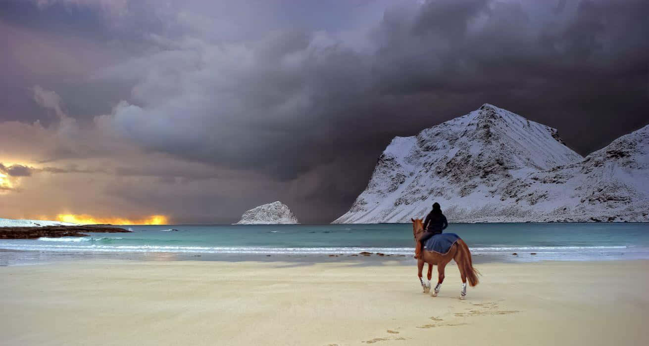 Winter Beach 桌布 壁紙 — 一名孤獨的騎手騎著栗色馬，在戲劇性的暴風雨天空下，沿著積雪的海灘行走，遠方懸崖後方有閃耀的日落。