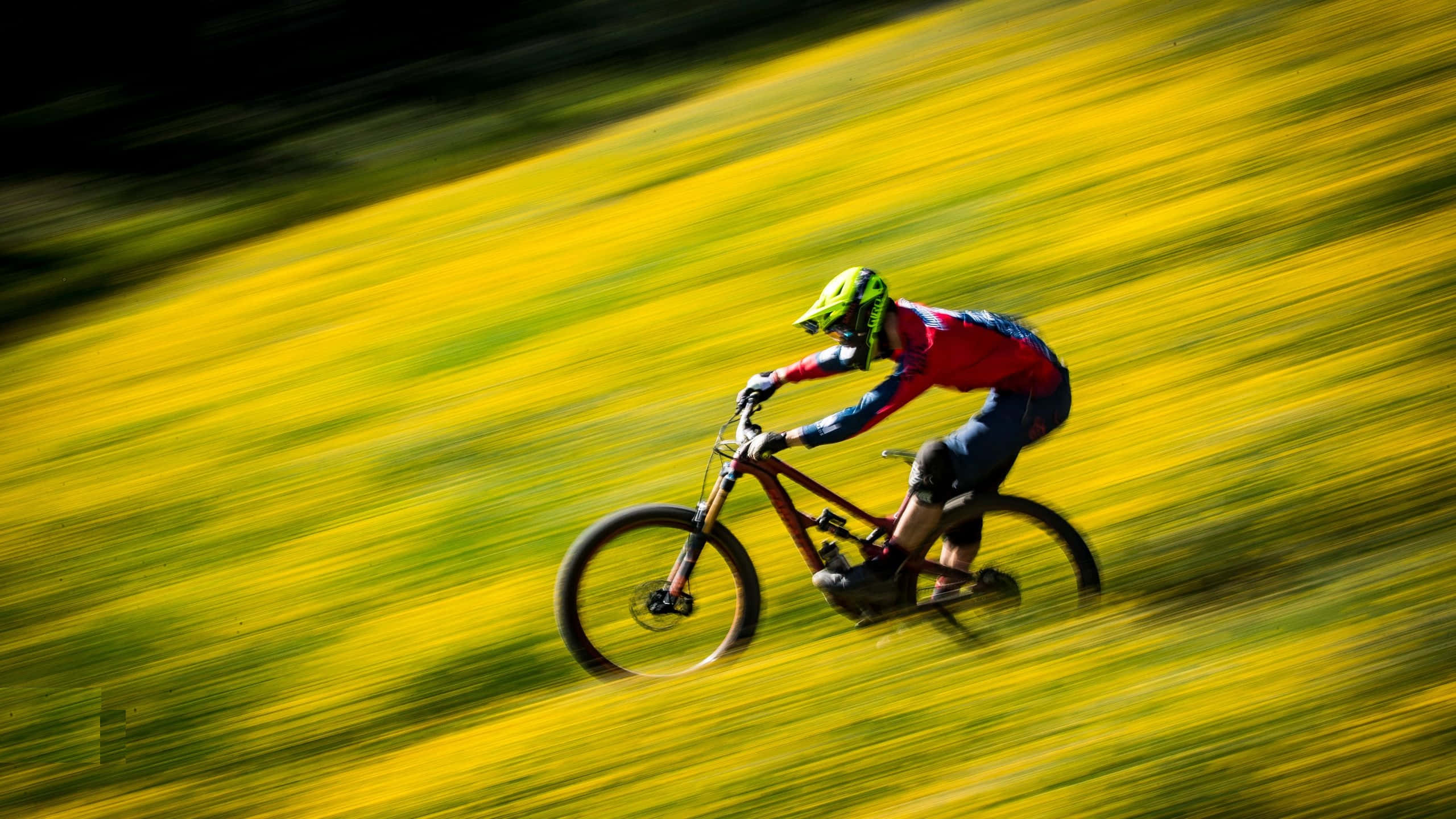 Mtb 桌布 壁紙 — 一名山地單車手在充滿活力的黃色田野中飛馳，動態模糊強調了速度和能量。