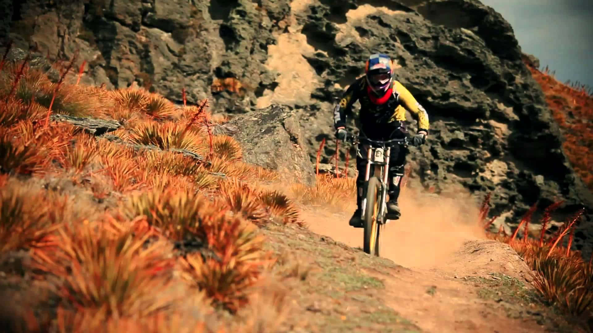 Mtb 桌布 壁紙 — 一名山地單車手在塵土飛揚的小徑上疾馳而下，穿過橙色的帶刺植物，背景是岩石峭壁。
