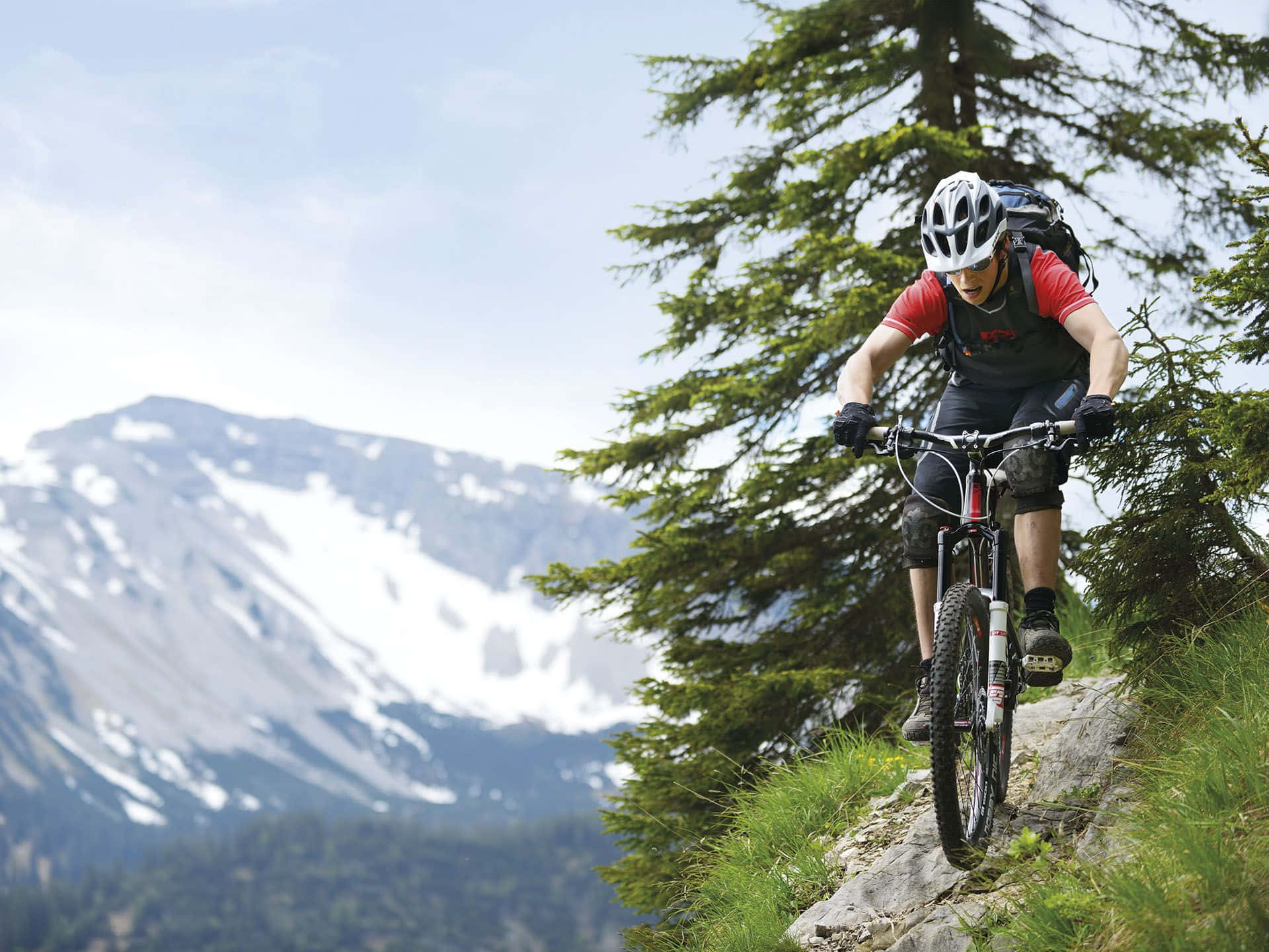 Mtb 桌布 壁紙 — 一名山地單車手在岩石小徑上穿梭，旁邊是常青樹，背景是白雪覆蓋的山峰。