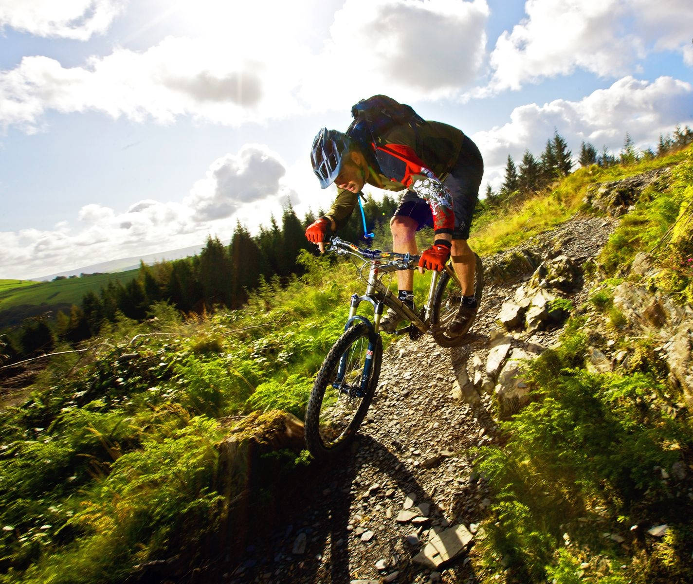 Mountain Bike 桌布 壁紙 — 一名山地自行車手在明亮的陰天天空下，在茂密綠色森林中的岩石小徑上急轉彎時身體傾斜。