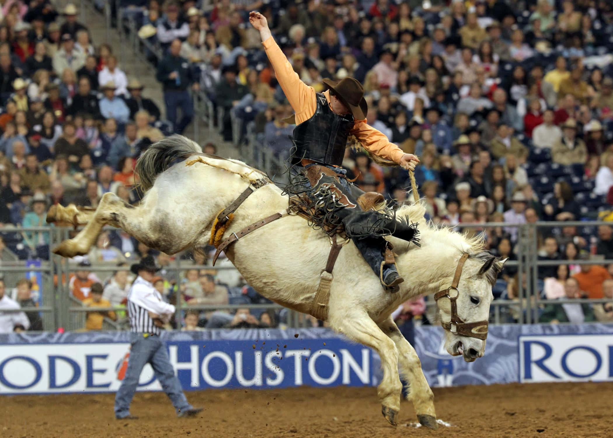 Rodeo 桌布 壁紙 — 一名戴棕色帽、穿橙色衫嘅牛仔喺牛仔競技場騎住一匹掙扎嘅白馬，周圍有歡呼嘅人群。