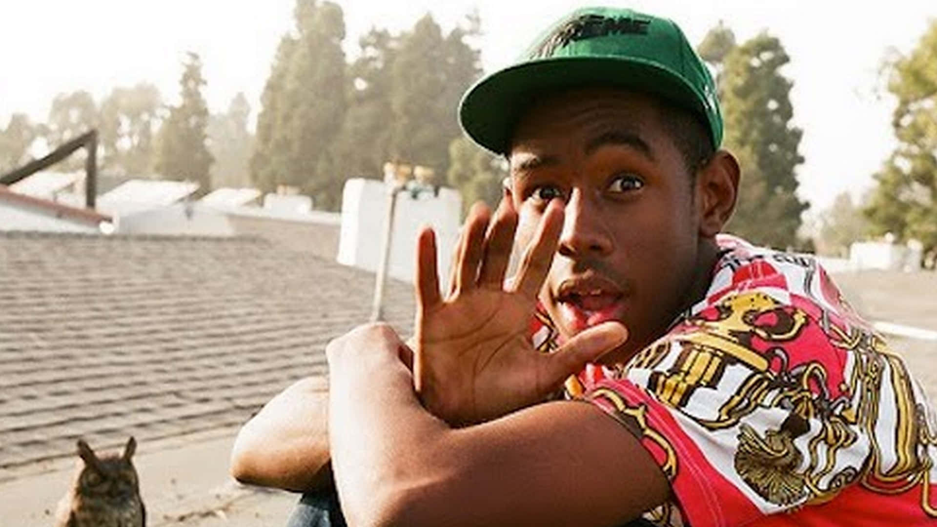 tyler the creator 桌布 壁紙 — 一名戴綠色帽、穿彩色襯衫的年輕男子，頑皮地將手舉到臉前，旁邊有隻貓坐在屋頂上。