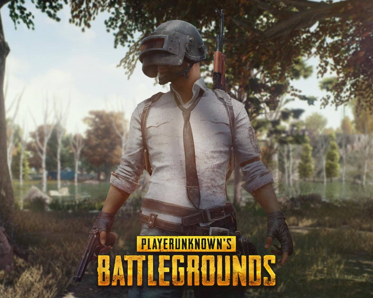 PUBG 桌布 壁紙 — 一名戴頭盔和領帶的士兵在明亮的日光下站在森林中，手持手槍，背上背著步槍。