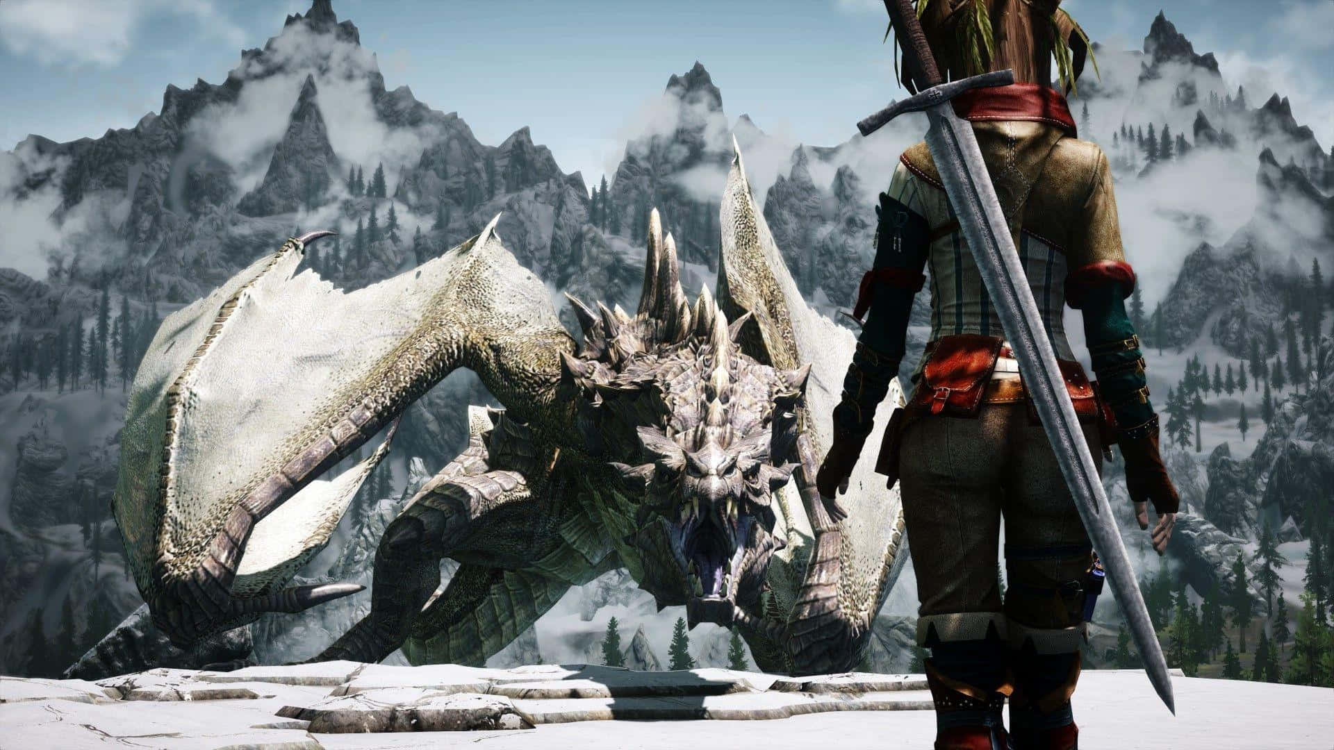 The Elder Scrolls V Skyrim 桌布 壁紙 — 一名持劍戰士在雪覆蓋的山地景觀中面對一條巨大的白色龍。