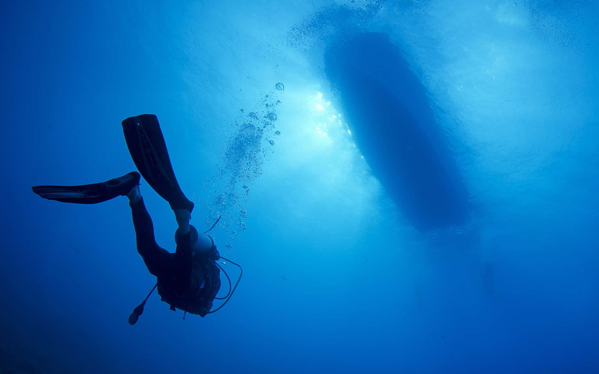 diving 桌布 壁紙 — 一名水肺潛水員在陽光照耀的藍色海水中，以剪影形式游近一條大鯨魚的影子。