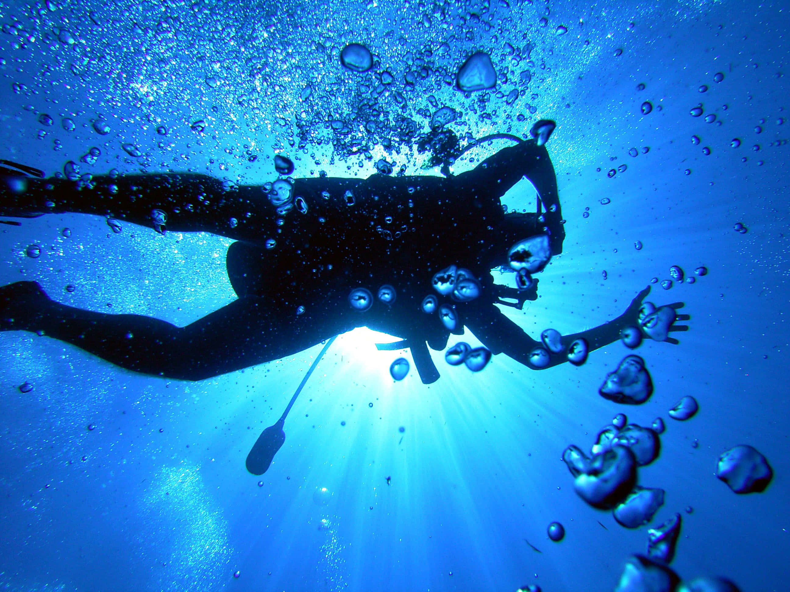 diving 桌布 壁紙 — 一名水肺潛水員的剪影在陽光照耀的藍色海水中向上滑行，周圍環繞著上升的氣泡和耀眼的光束。