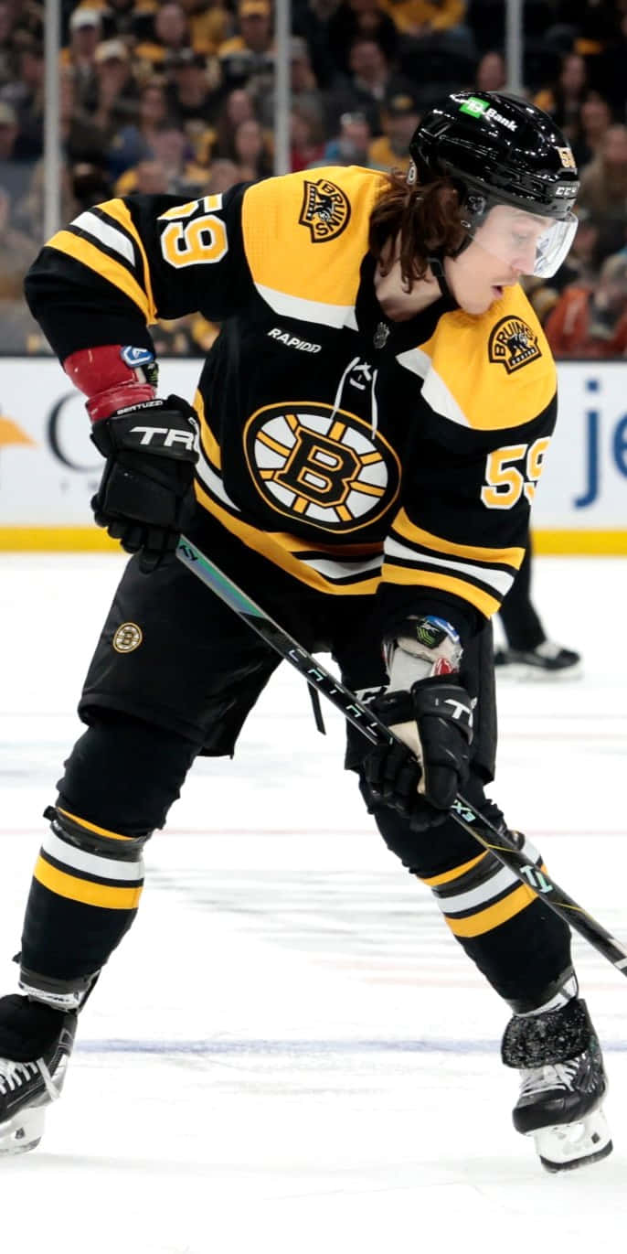 Tyler Bertuzzi 桌布 壁紙 — 一名波士頓棕熊隊冰球運動員身穿黑色和金色裝備，在比賽中於冰上激烈滑行，背景有觀眾。