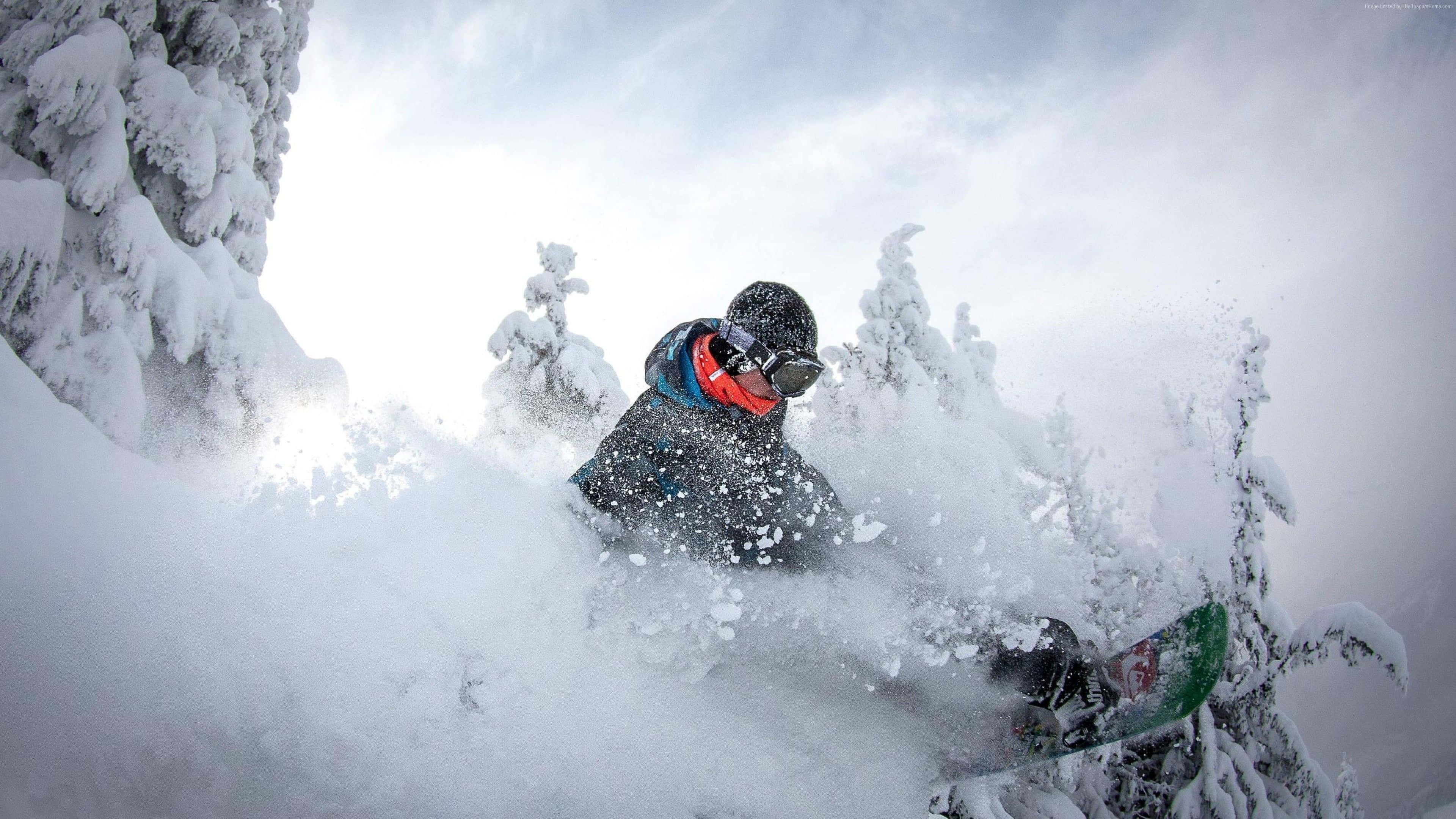 Winter Sports 桌布 壁紙 — 一名滑雪板手在明亮的天空下，於被積雪覆蓋的常綠樹環繞的深粉雪中 carve 行進。