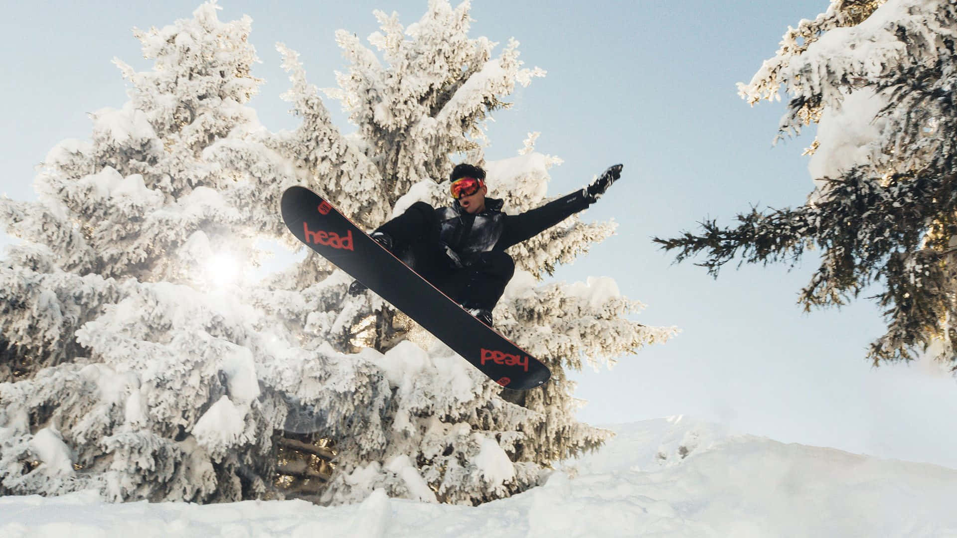 Skiing 桌布 壁紙 — 一名滑雪板手在晴朗的藍天下，於積雪的常青樹之間，在清爽的冬日空氣中翱翔。