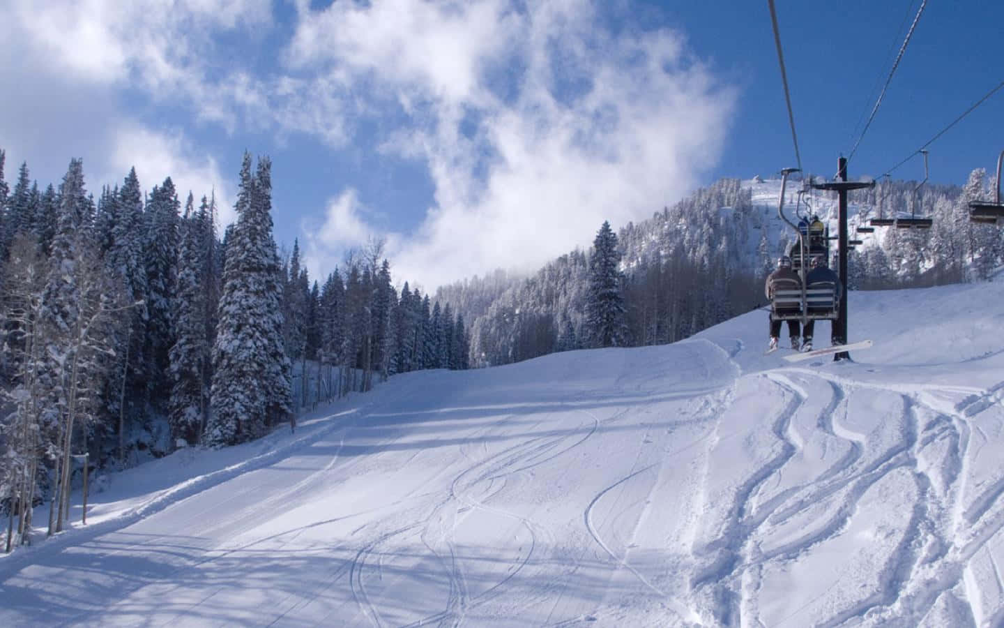 Ski Resort 桌布 壁紙 — 一名滑雪者喺晴朗藍天、 fluffy 雲同埋積雪嘅松樹下，登上白雪覆蓋嘅山坡。