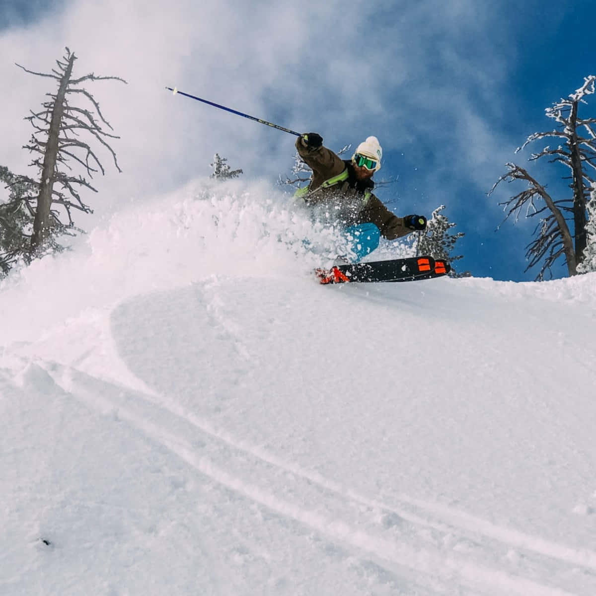 Skiing 桌布 壁紙 — 一名滑雪者在晴朗的藍天下，在附近積雪的樹木旁，滑過新鮮的粉雪。