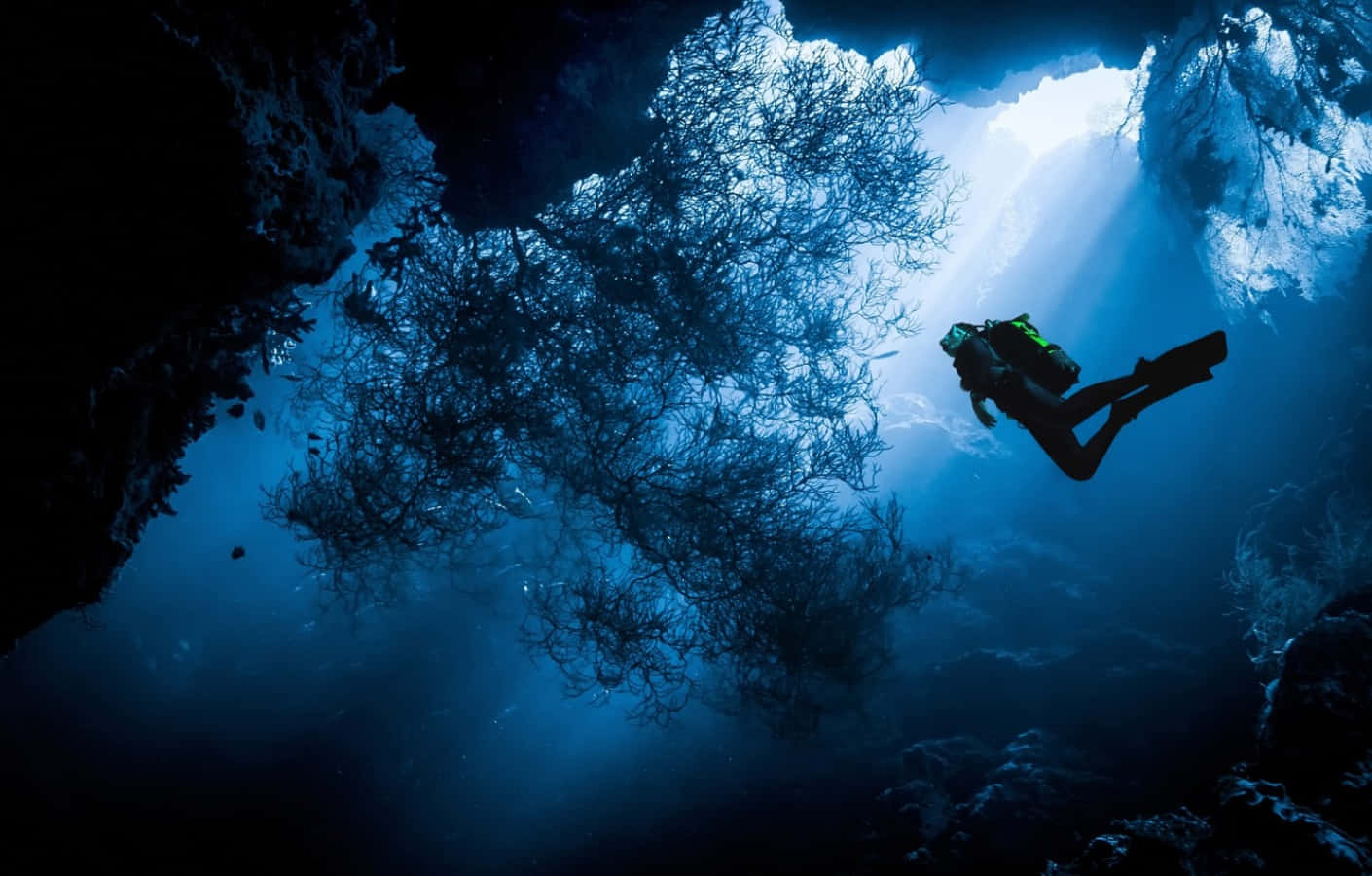 diving 桌布 壁紙 — 一名潛水員的剪影，背景是穿過淹沒洞穴天花板的陽光，洞穴內有複雜的珊瑚結構。