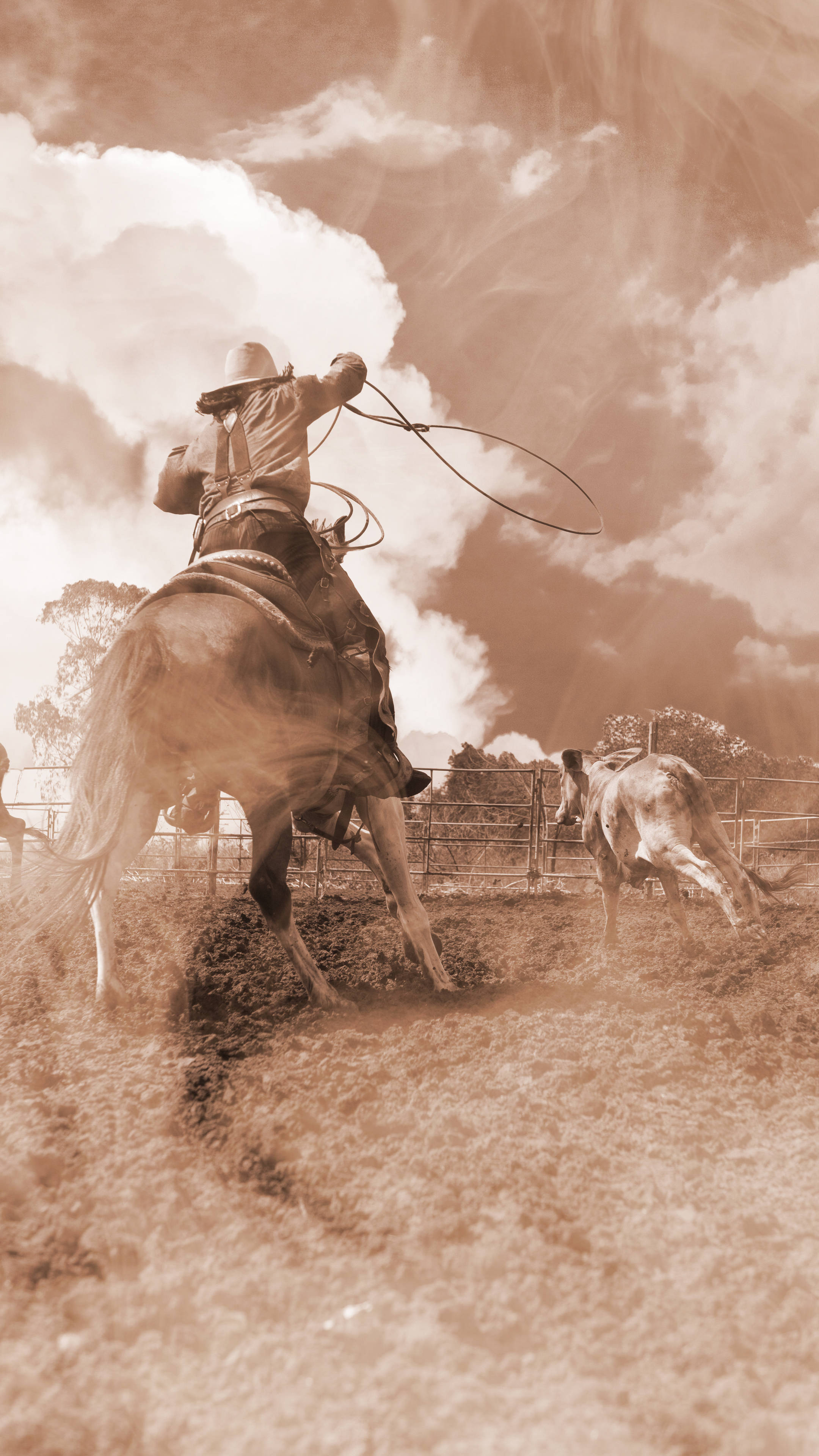 Cowboy 桌布 壁紙 — 一名牛仔騎在騰躍的馬上，在塵土飛揚的牛仔競技場中，在戲劇性的多雲天空下，向一頭小牛揮動套索。