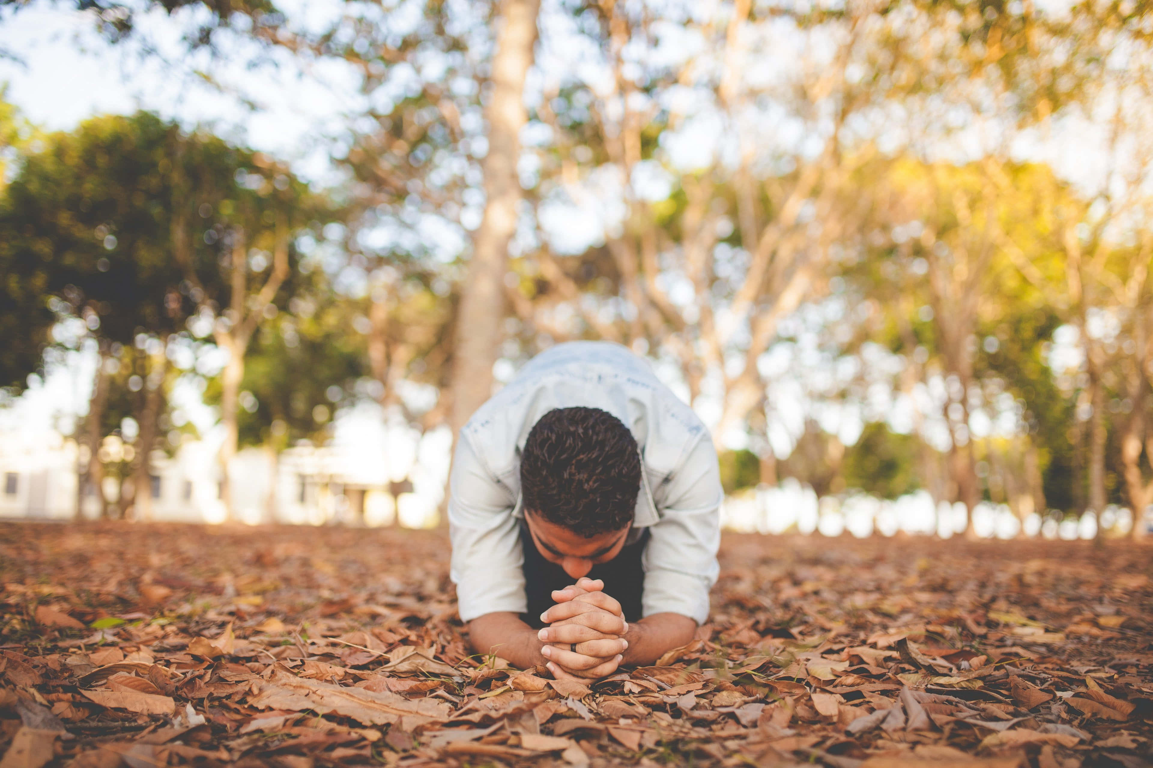 祈禱 桌布 壁紙 — 一名男子跪在陽光明媚的公園落葉上，在樹冠下雙手合十祈禱。