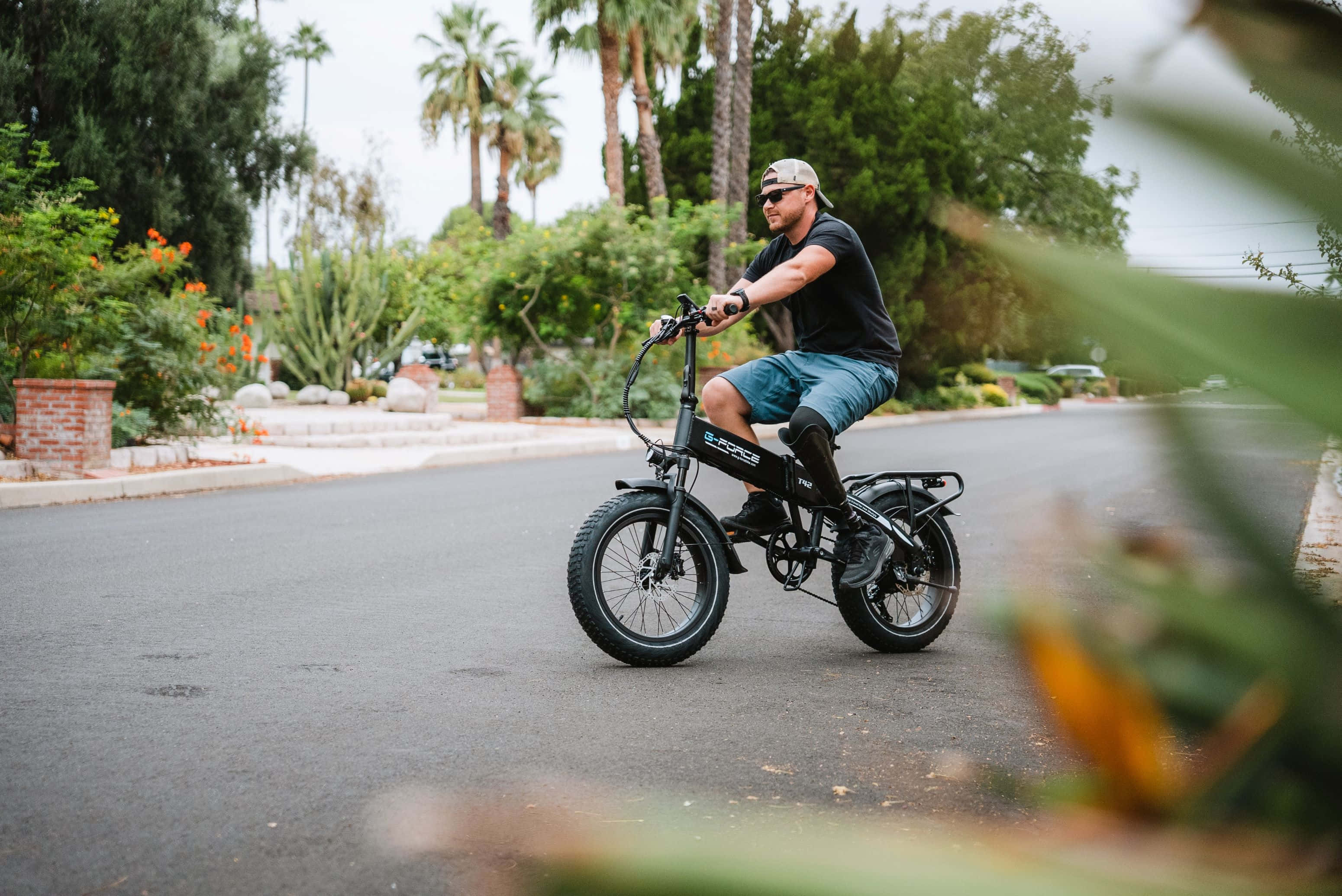 Electric Bike 桌布 壁紙 — 一名男子騎著黑色電動單車，沿著棕櫚樹成蔭的郊區街道行駛，兩旁綠意盎然，還有橙色花朵。