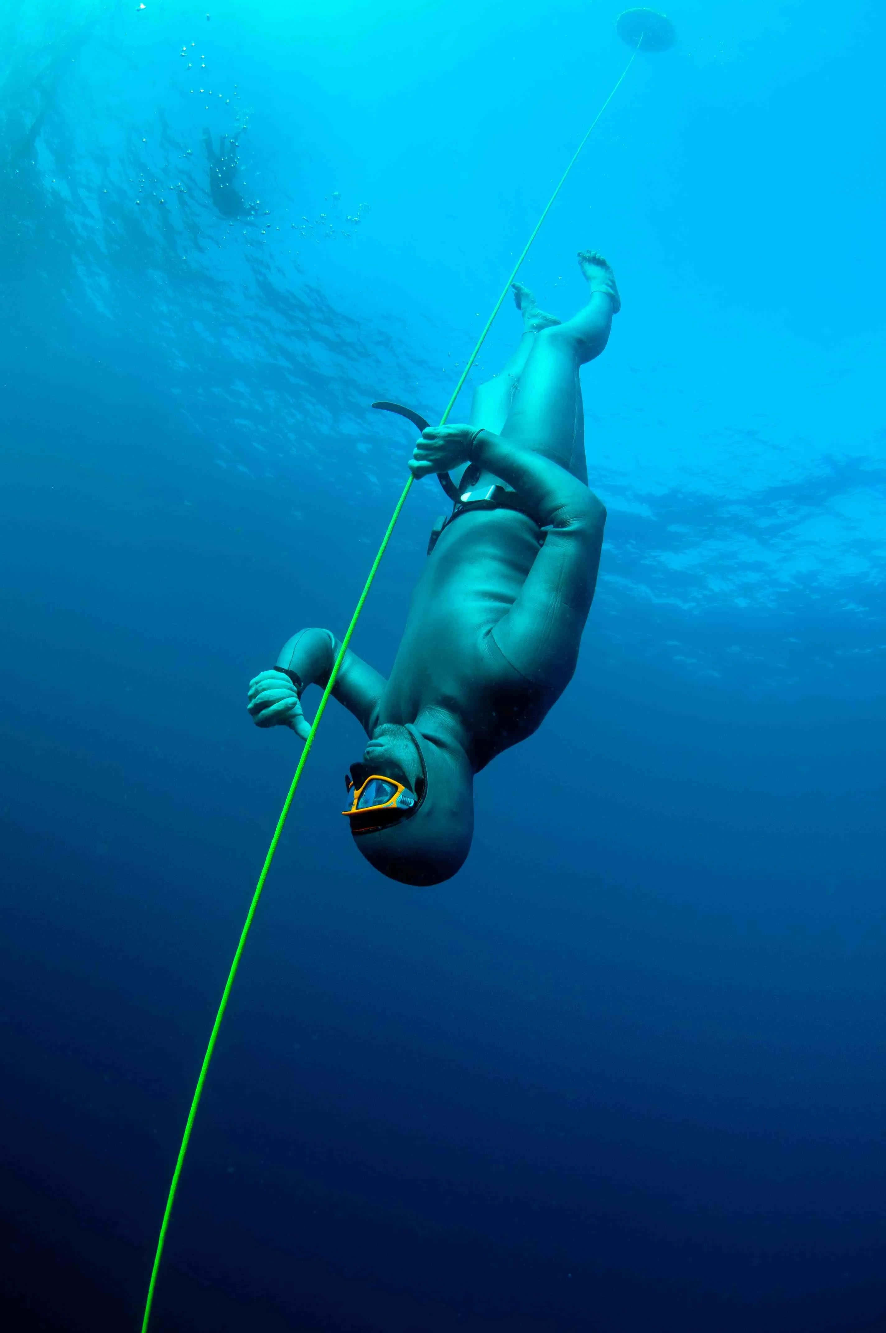 diving 桌布 壁紙 — 一名穿著潛水衣的潛水員沿著一條亮綠色的導引繩垂直上升，穿過清澈的藍色海水。