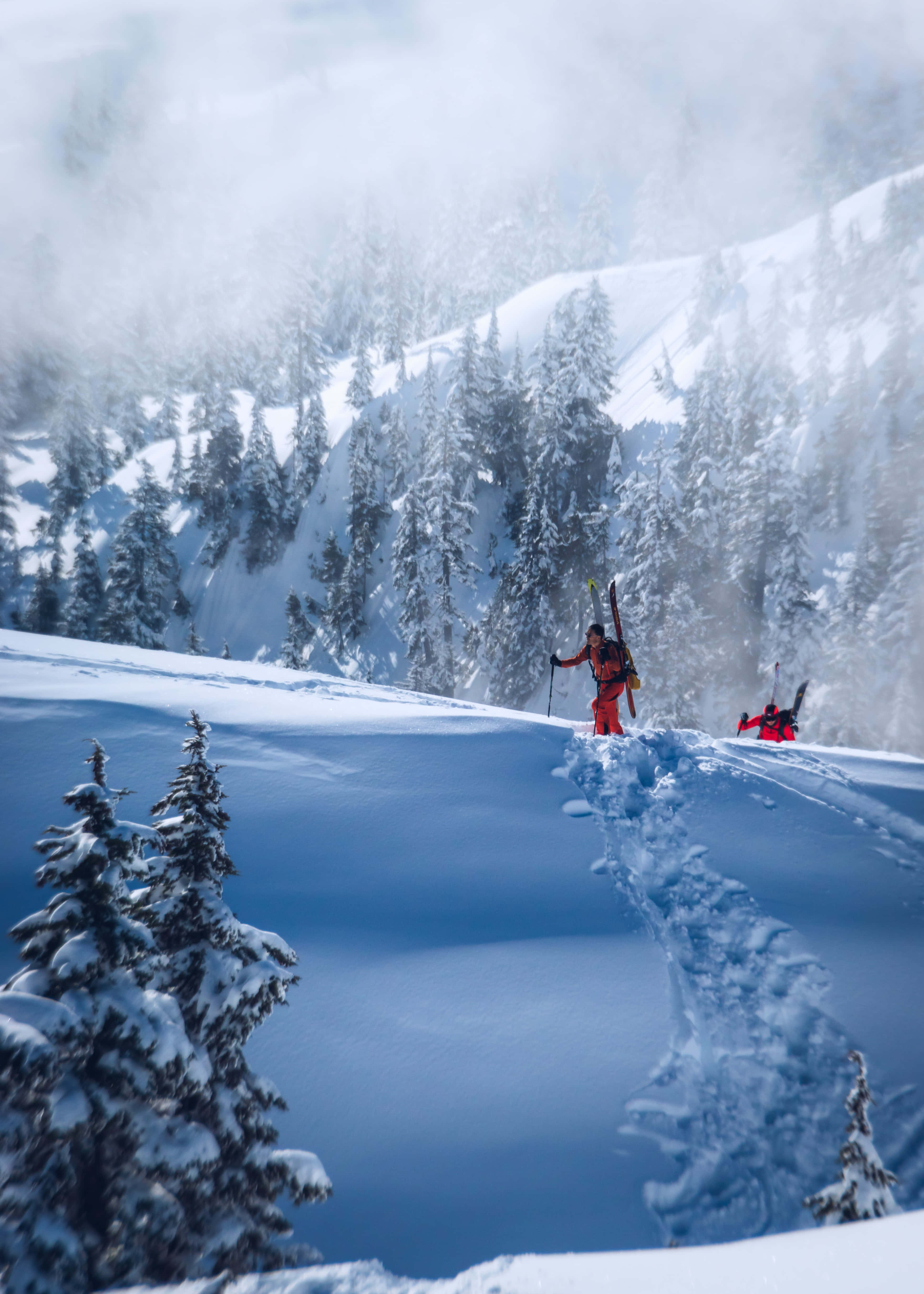 Skiing 桌布 壁紙 — 一名穿著紅色裝備的滑雪者，在明亮的日光下，穿過霧氣瀰漫的常綠森林，攀登白雪覆蓋的山脊。