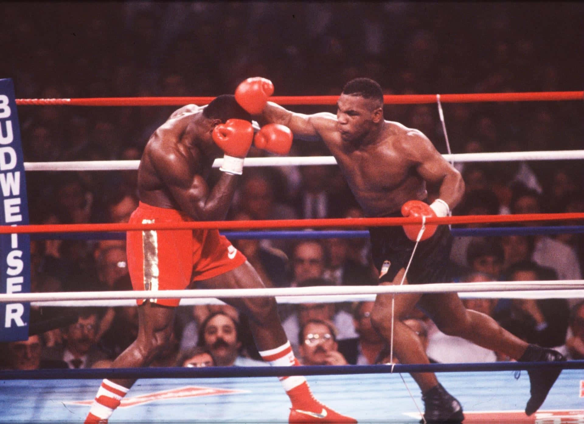 mike tyson 桌布 壁紙 — 一名穿著黑色短褲的拳擊手在明亮燈光下的戲劇性擂台比賽中，對穿著紅色短褲的對手使出一記強勁的右勾拳。