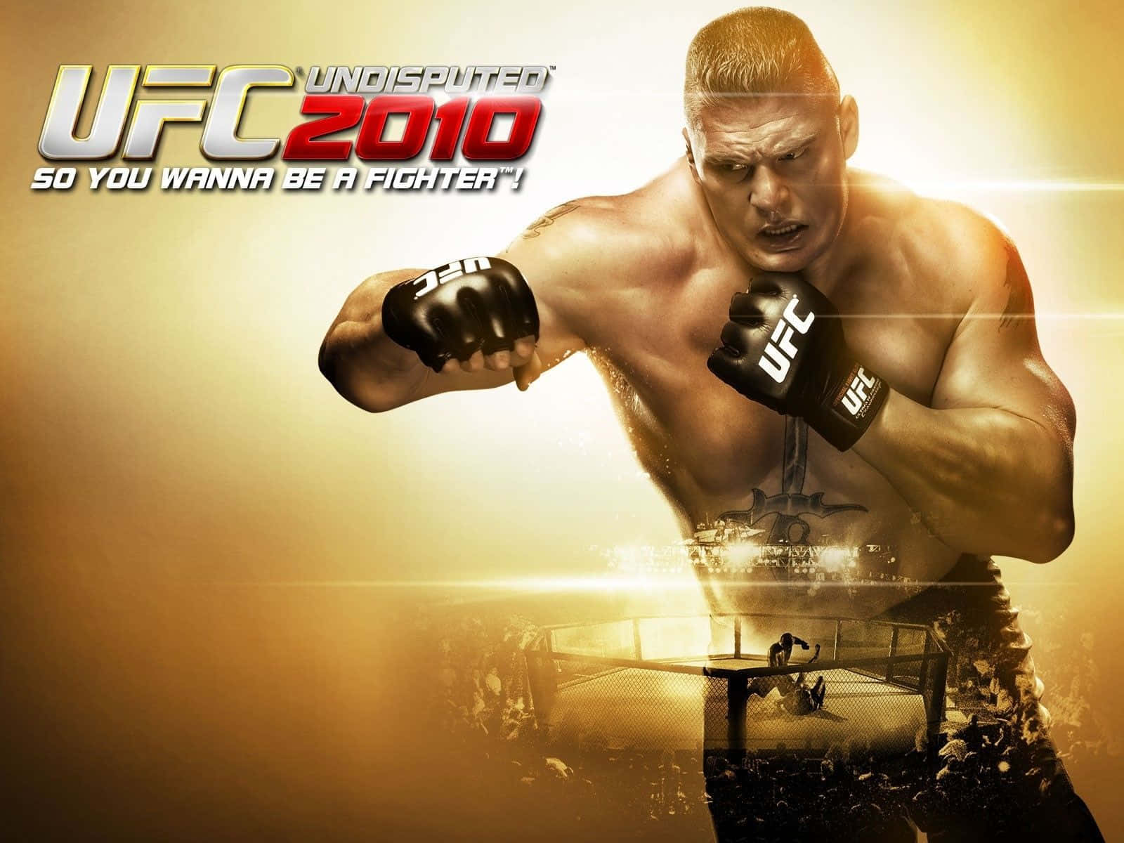 UFC 桌布 壁紙 — 一名肌肉發達的拳手戴著UFC手套，在模糊的八角籠競技場背景下，以強烈的專注力衝向發光的金色背景。
