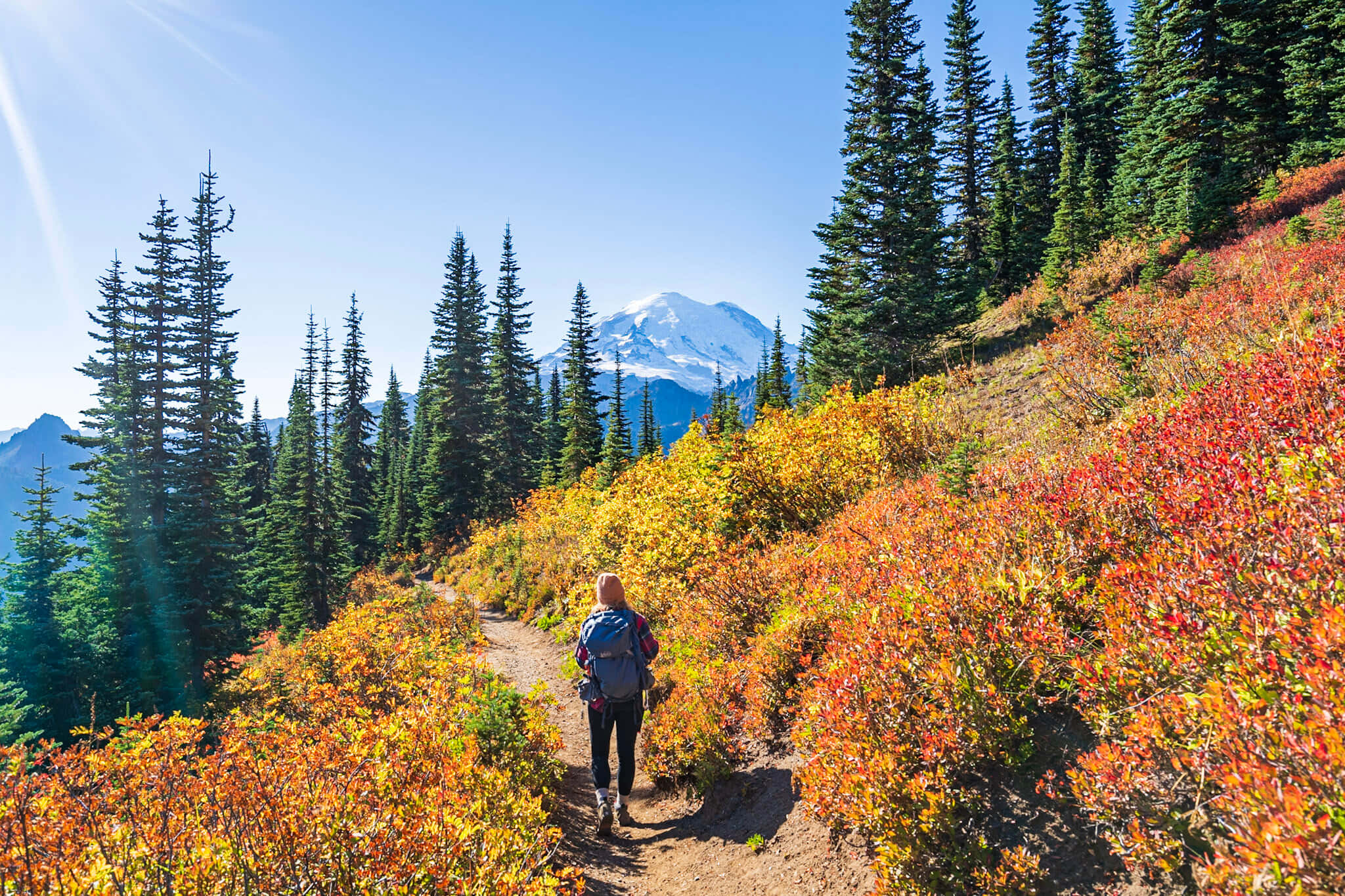Fall Hikes 桌布 壁紙 — 一名背著背包的遠足者沿著小徑穿過色彩繽紛的秋葉，朝著遠處白雪覆蓋的山峰前進，天空湛藍清澈。