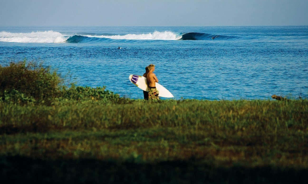 surfing 桌布 壁紙 — 一名衝浪者站在長滿草嘅懸崖上，拎住一塊衝浪板，喺晴朗嘅天空下，海浪翻滾緊。