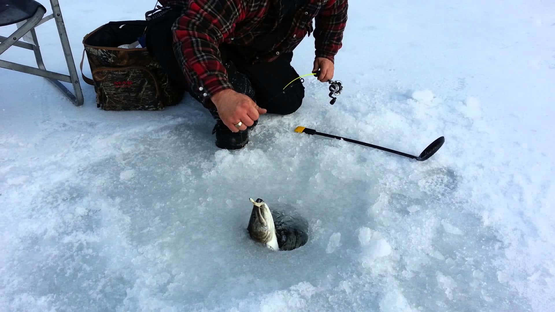 Ice Fishing 桌布 壁紙 — 一名身穿格仔衫的漁夫跪在積雪冰面上，一條大魚從他剛捕獲的洞中躍出。