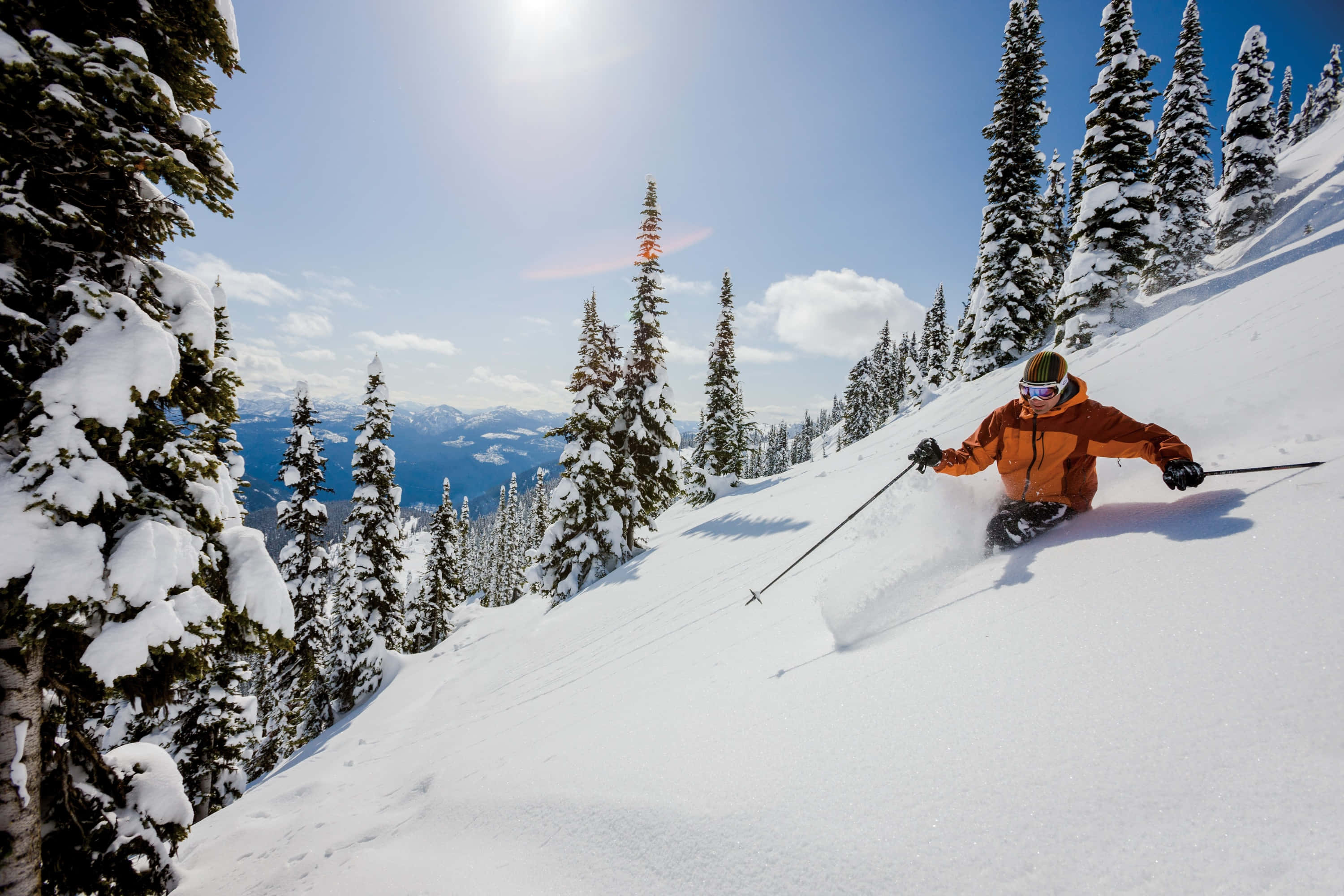 Skiing 桌布 壁紙 — 一名身穿橙色外套的滑雪者，在陽光明媚的山坡上穿過新鮮的粉雪，周圍是覆蓋著白雪的常青樹。