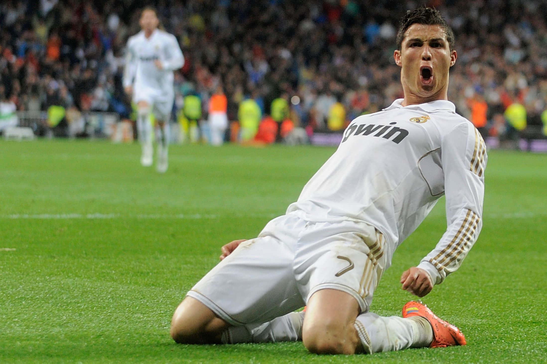 Ronaldo 桌布 壁紙 — 一名身穿白色球衣的足球運動員在體育場比賽期間跪在充滿活力的綠色草地上勝利地尖叫。