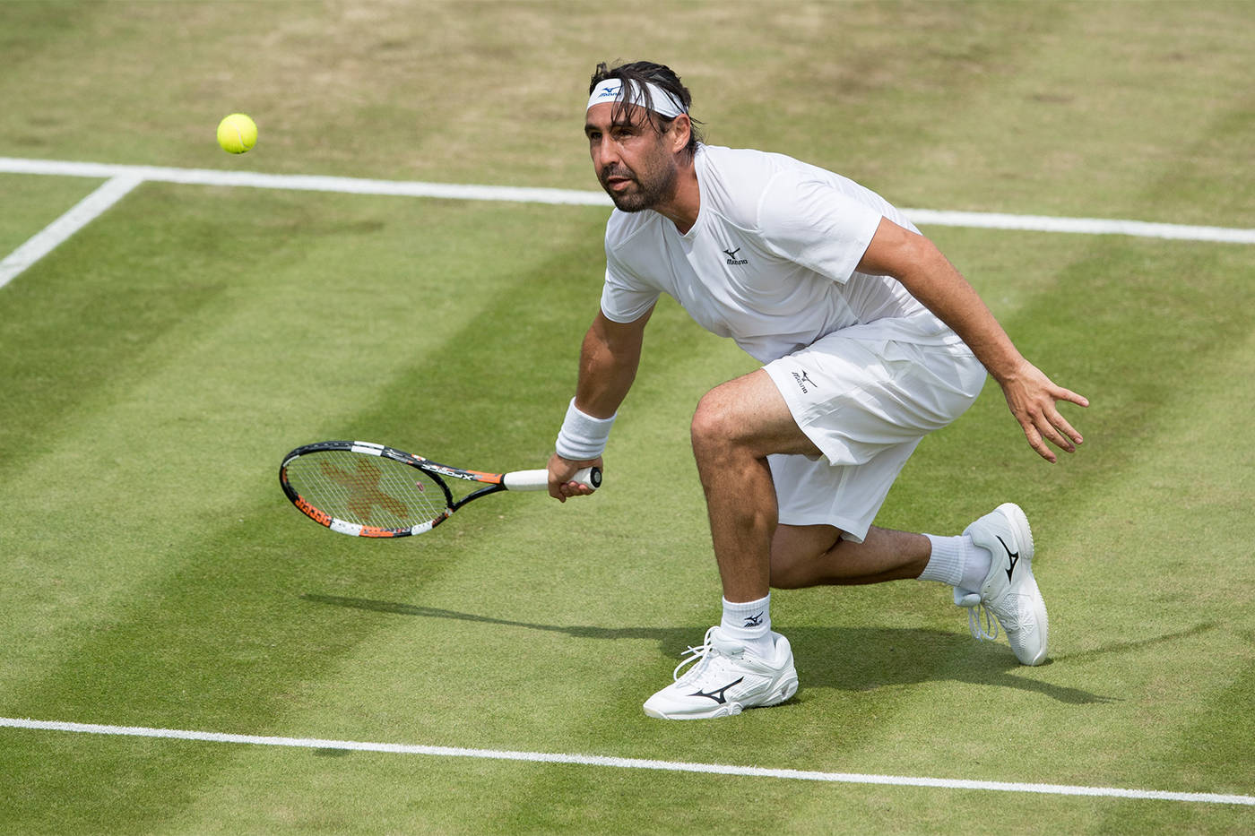 Marcos Baghdatis Looking At Ball 壁紙 — 一名身穿白色裝備的男網球手在草地場上向前衝刺，用球拍擊打黃色網球。