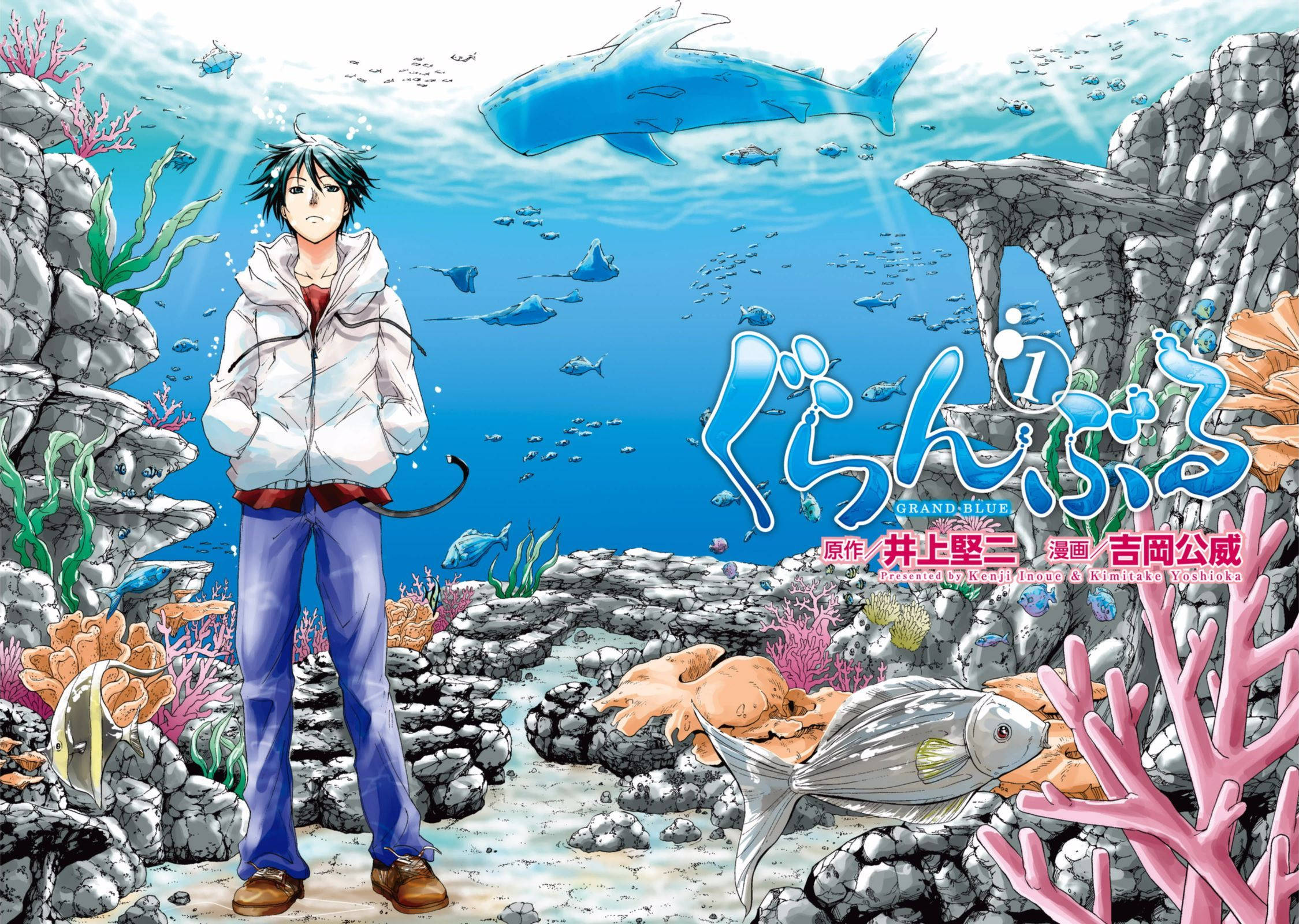 Grand Blue Iori Kitahara 壁紙 — 一名身穿白色連帽衫的年輕男子站在珊瑚礁上，一條鯊魚在充滿活力的藍色海洋中從他上方滑過。