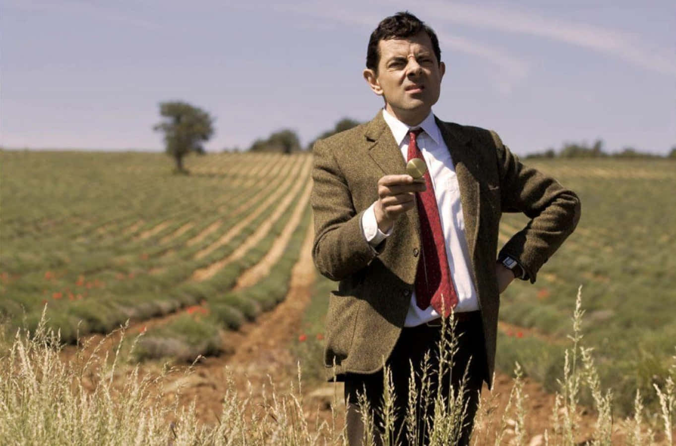 Mr Bean 桌布 壁紙 — 一名身穿粗花呢外套、繫著紅色領帶的男子，站在陽光普照的薰衣草田裡，手持一個小物件。