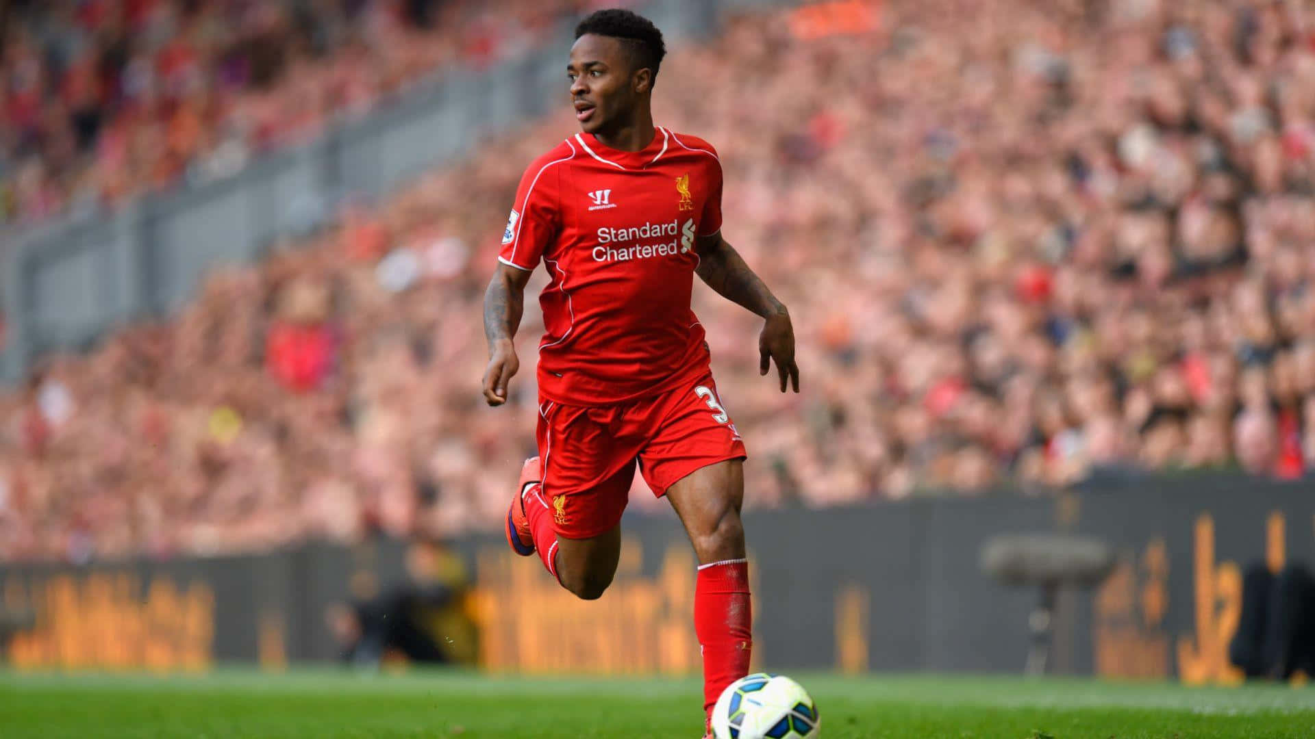 Sterling 桌布 壁紙 — 一名身穿紅色球衣的利物浦足球員在充滿活力的綠色球場上盤球，面前是座無虛席的體育場人群。